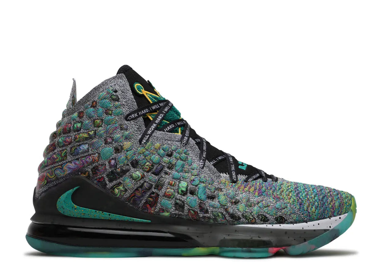 Nike LeBron 17 I Promise