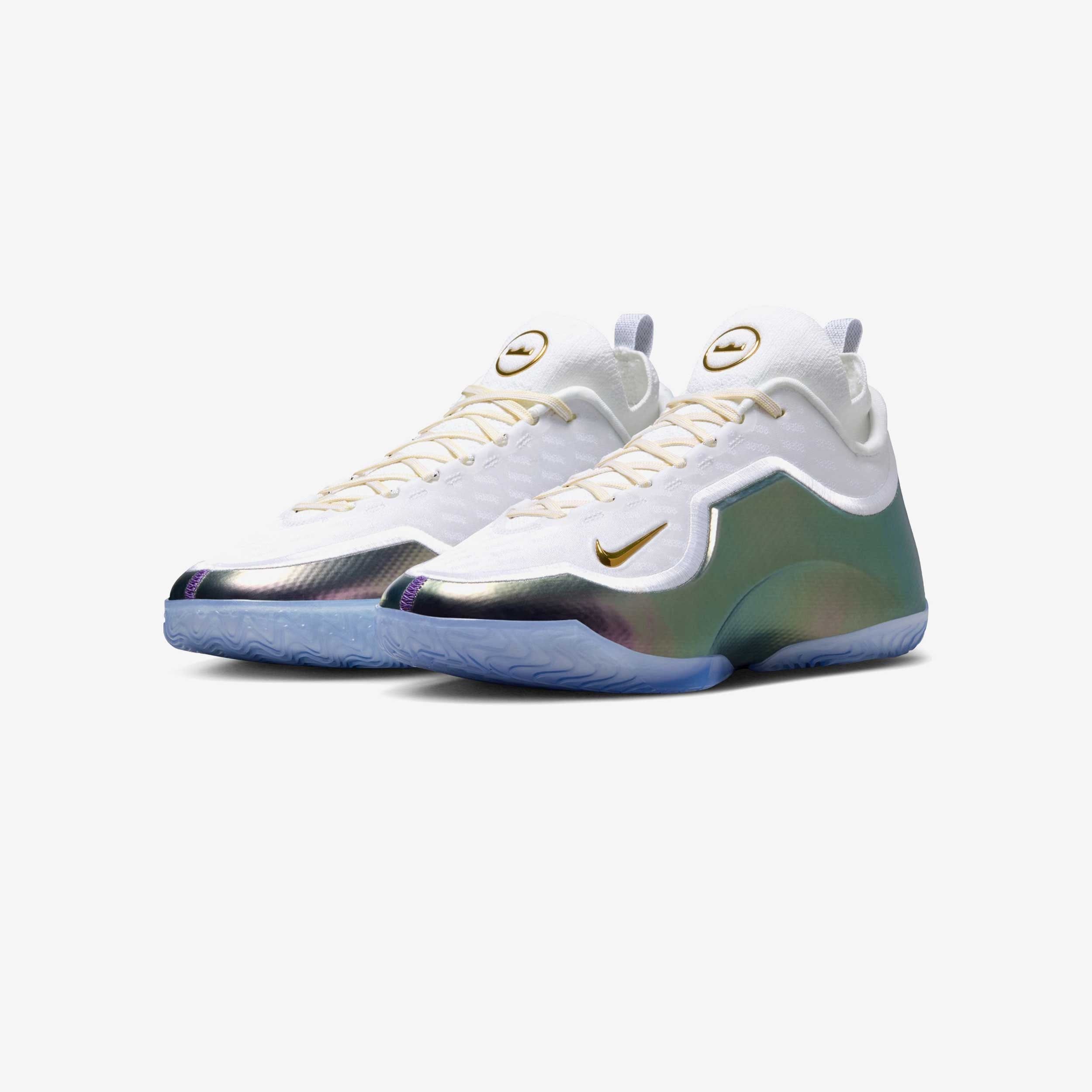 Nike Lebron XXIII Elite For the Record