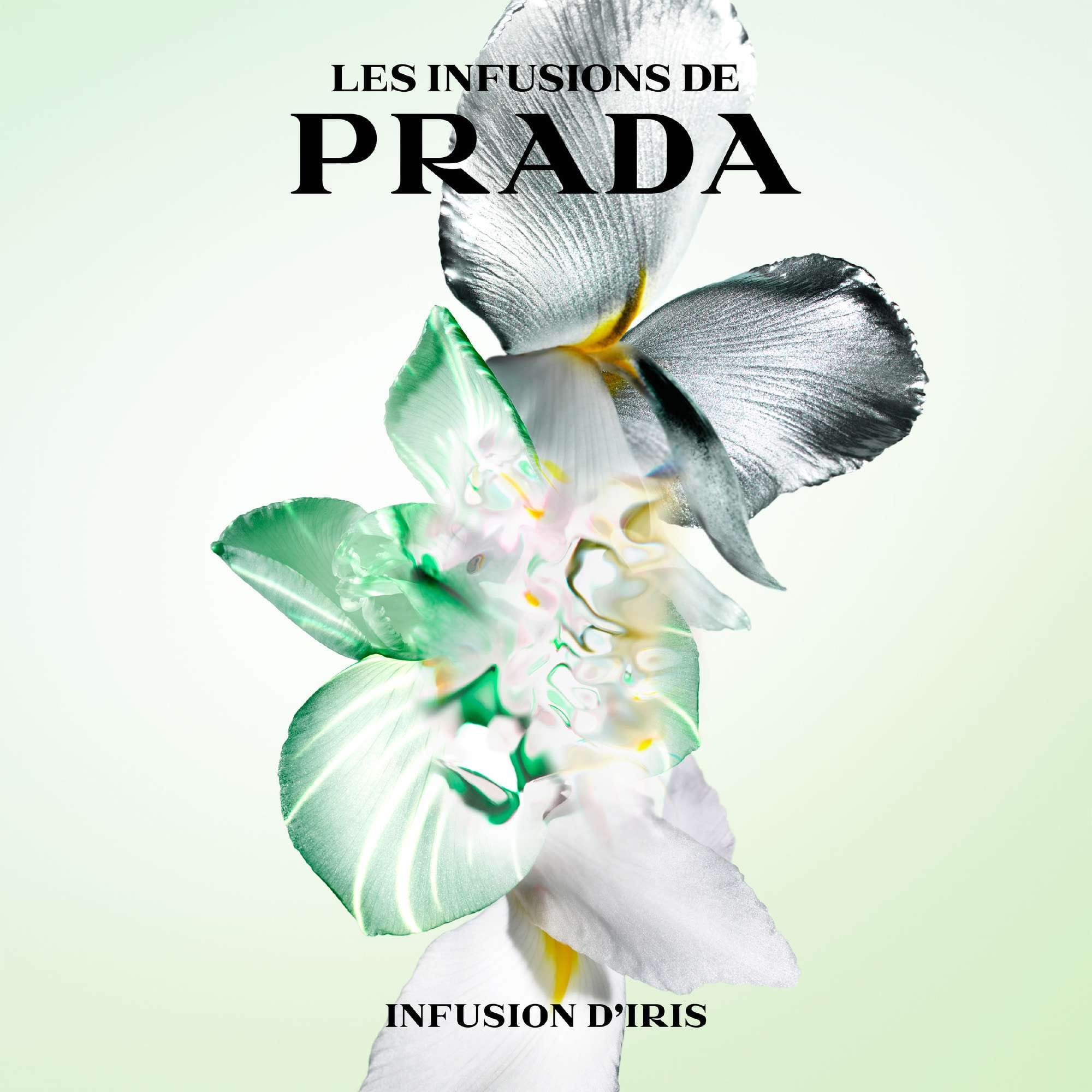 Prada Infusion d'Iris Eau de Parfum Spray 100 ml