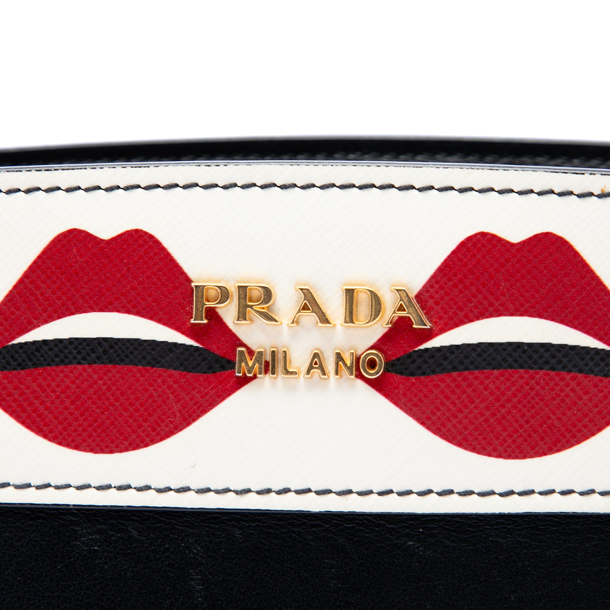 Prada City Calf and Saffiano Lip Print Esplanade Crossbody