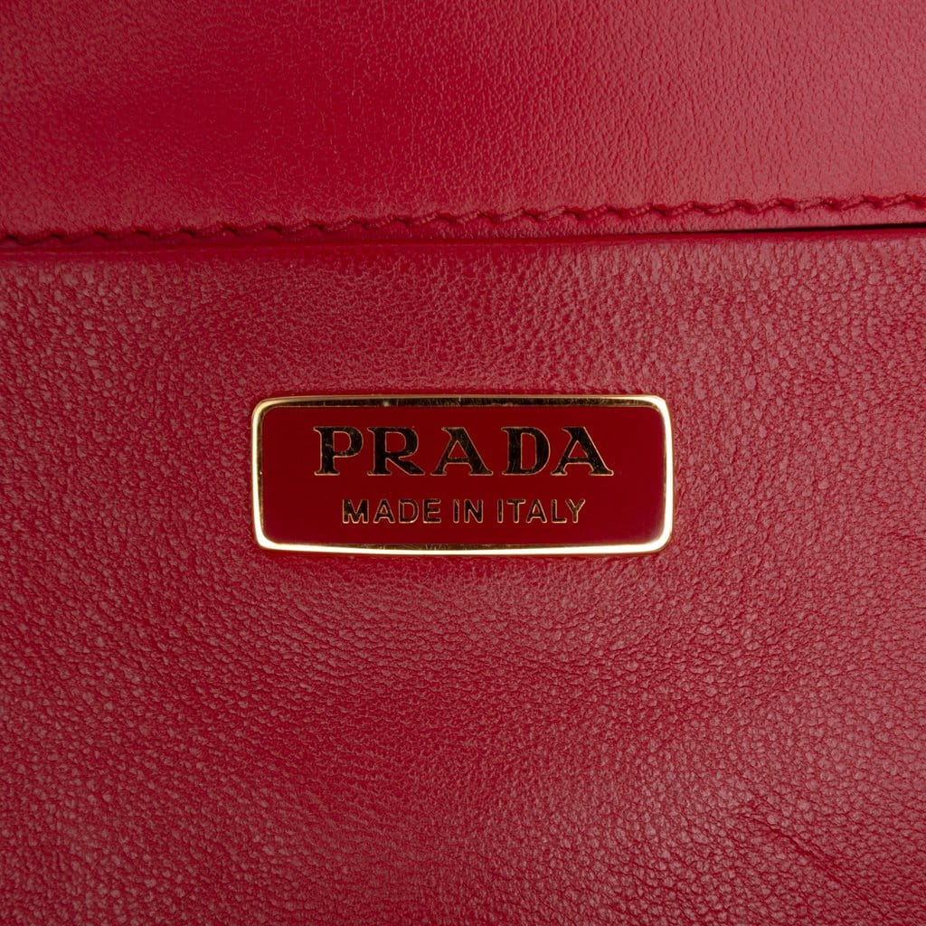 Prada Saffiano and City Calf Light Frame Crossbody