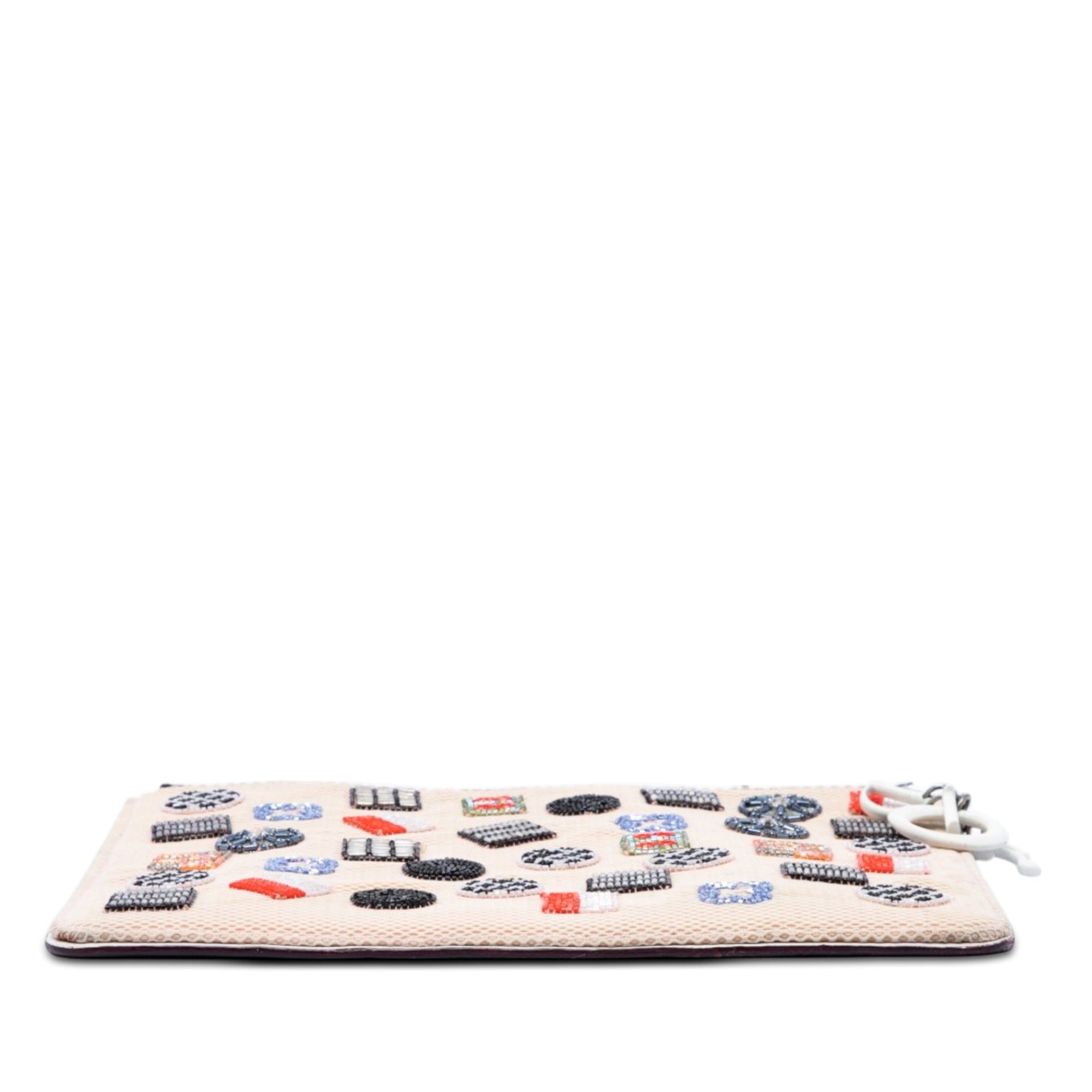 Dior Technical Fabric Mesh Embroidered Flat Stardust Pouch with Chain