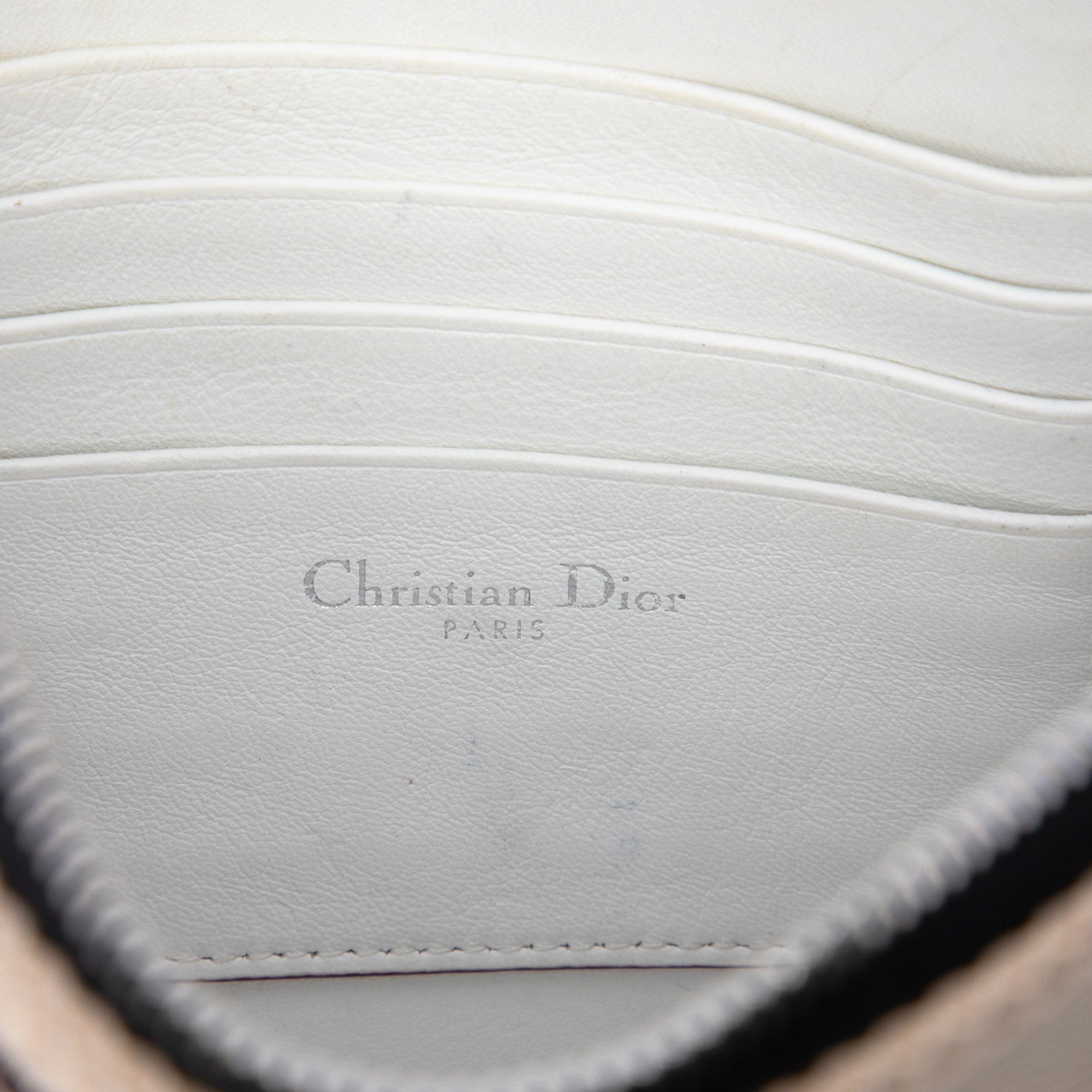 Dior Technical Fabric Mesh Embroidered Flat Stardust Pouch with Chain