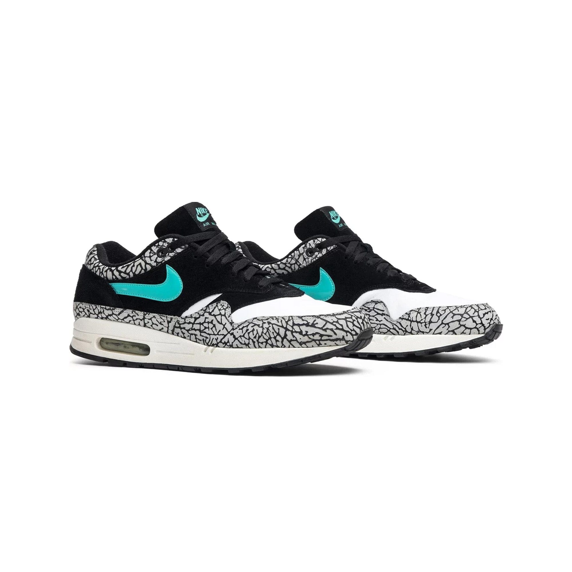 Nike Air Max 1 Atmos Elephant (2007)