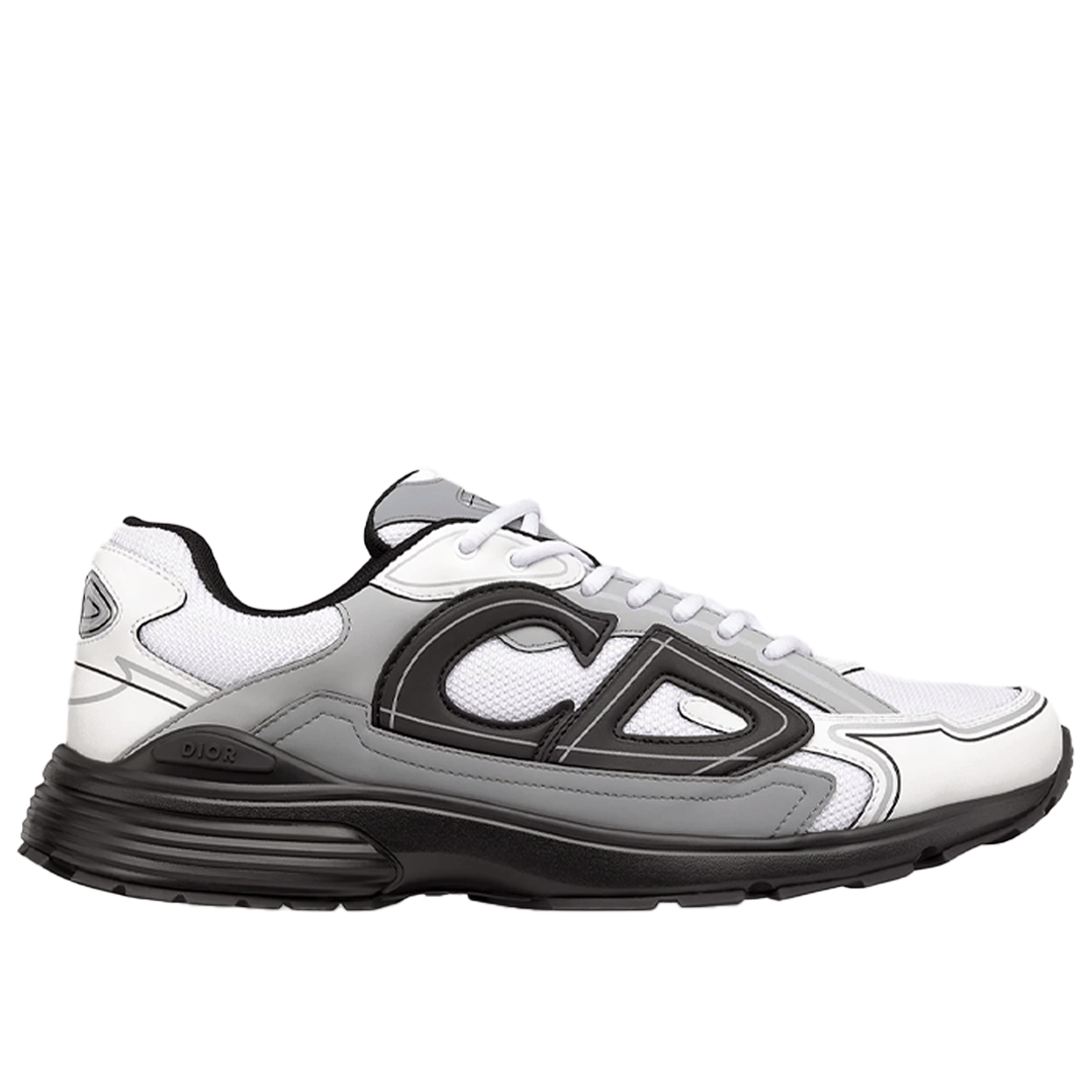 Dior B30 White Grey