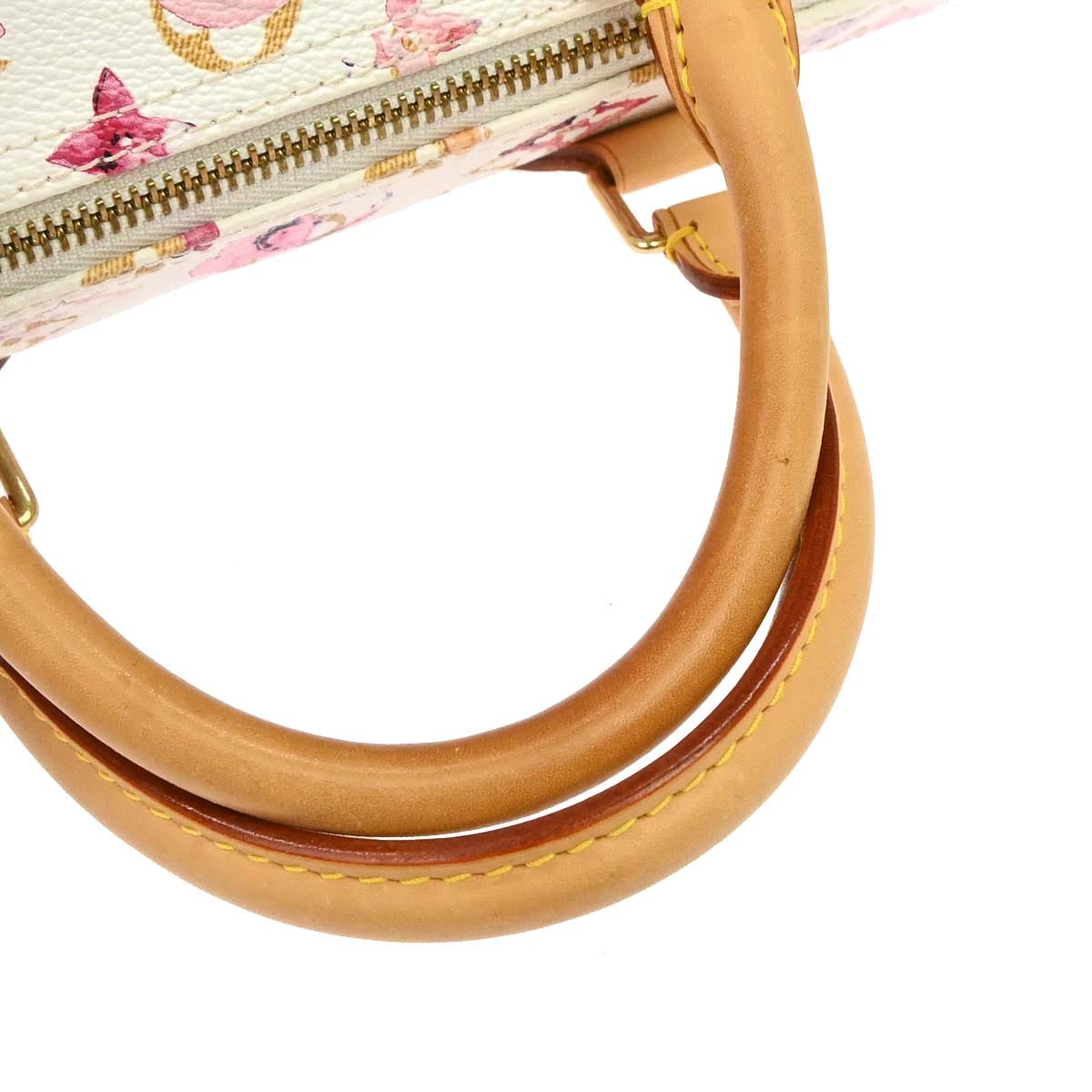 Louis Vuitton Monogram Watercolor Speedy 30 Handbag M95751