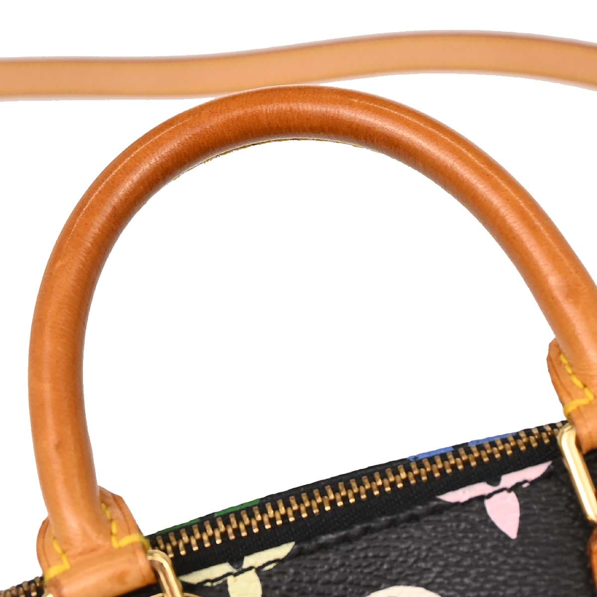 Louis Vuitton Multicolor Mini Speedy 2way Shoulder Handbag M92644