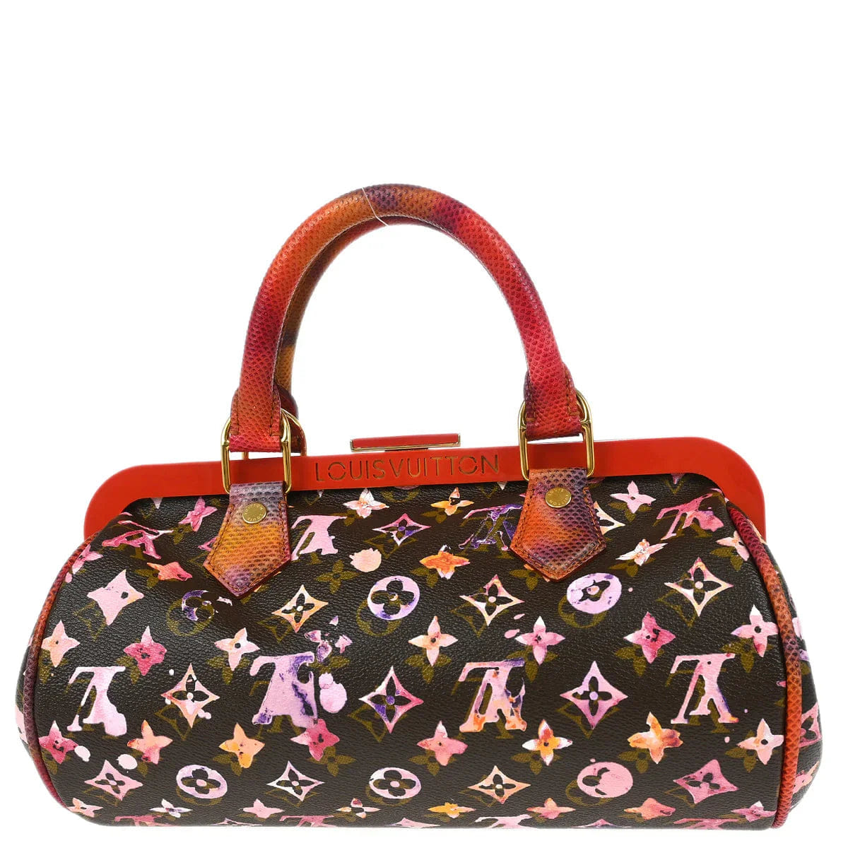 Louis Vuitton * 2008 Watercolor Papillon Handbag M95730