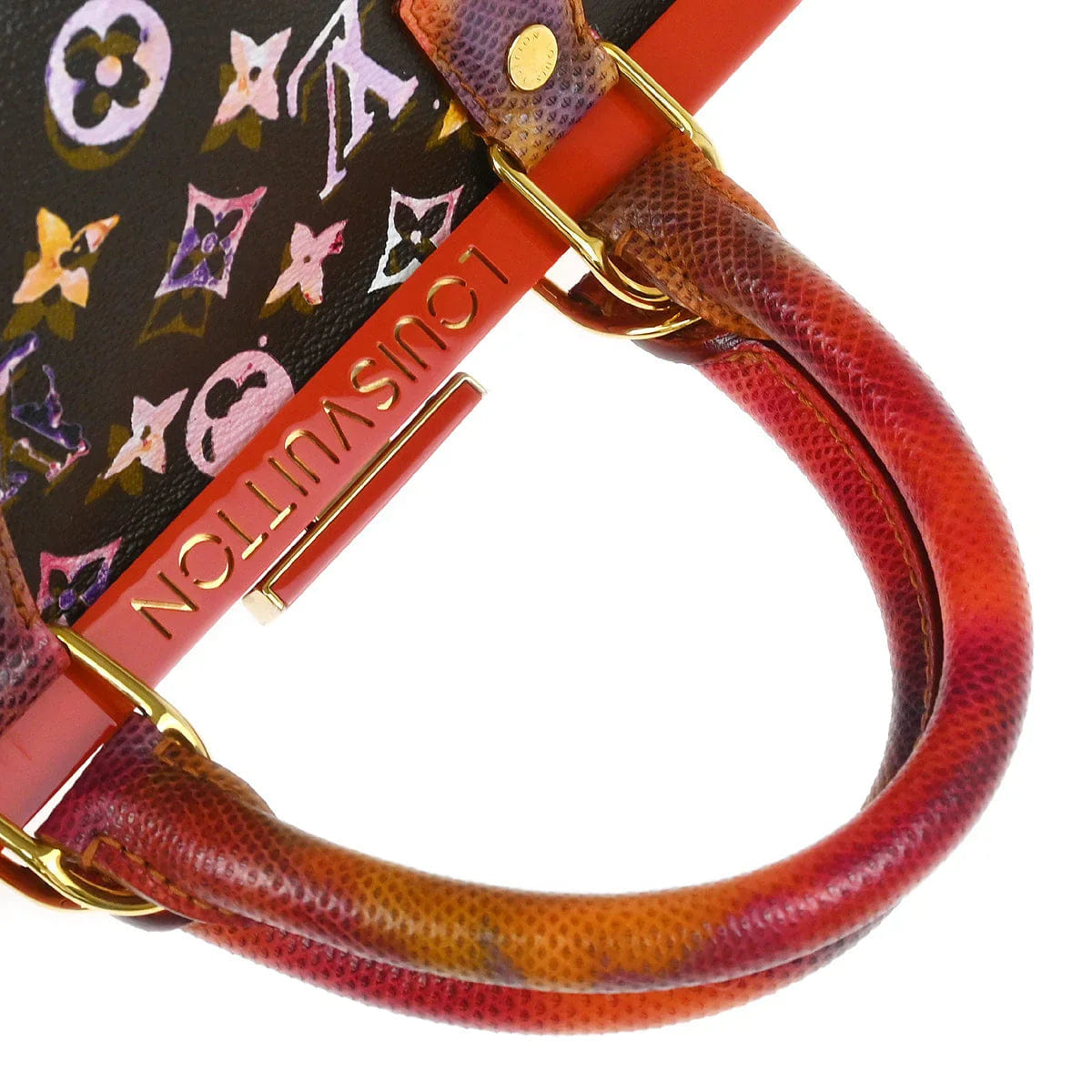 Louis Vuitton * 2008 Watercolor Papillon Handbag M95730