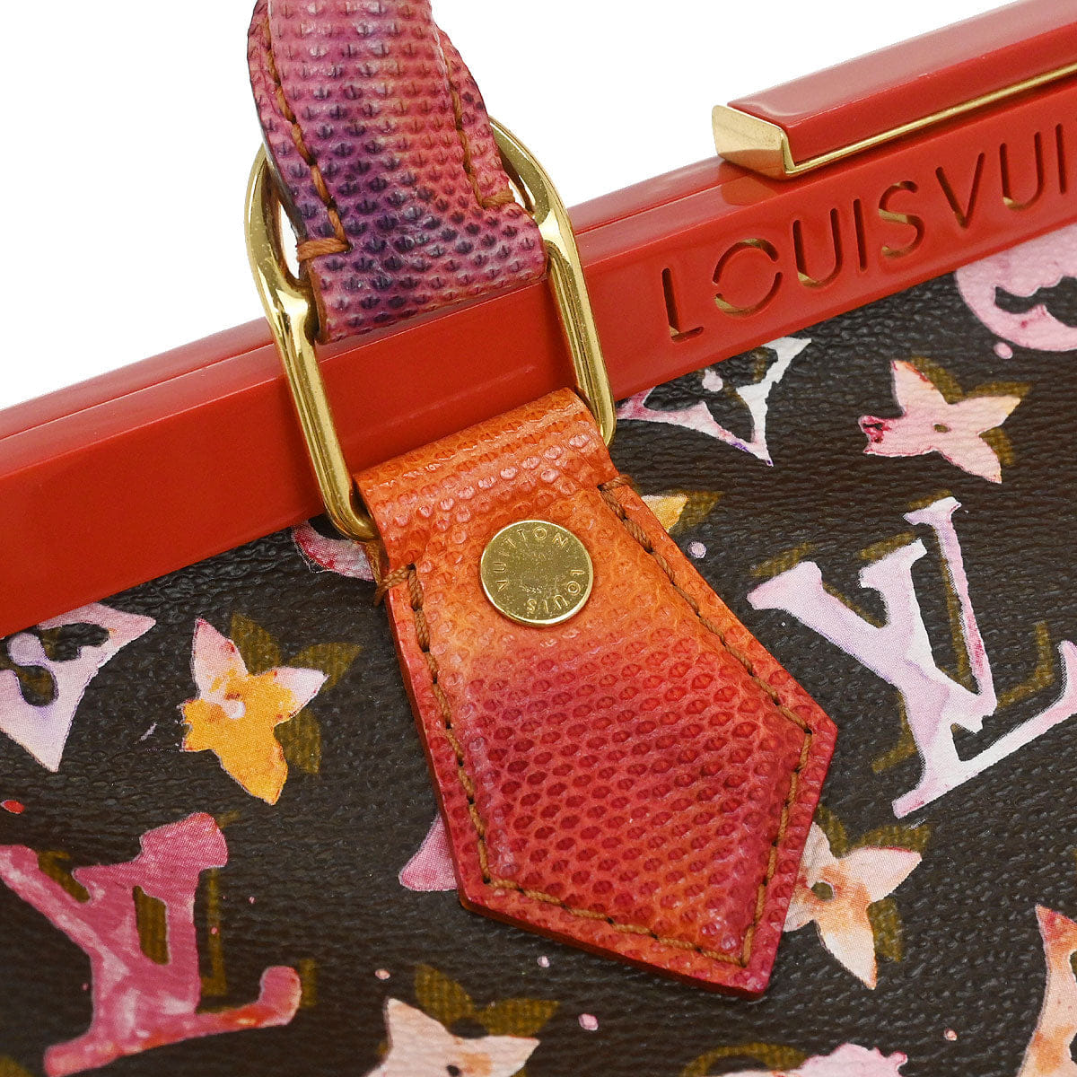 Louis Vuitton 2008 Monogram Watercolor Papillon Frame Handbag M95730