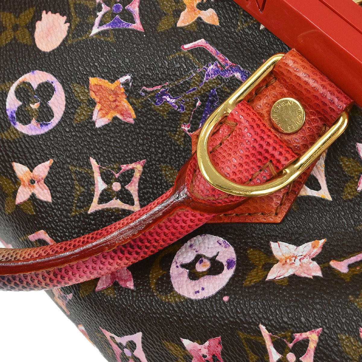 Louis Vuitton 2008 Monogram Watercolor Papillon Frame Handbag M95730