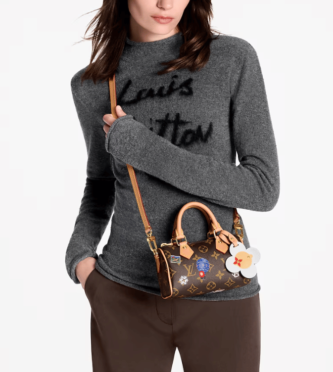 LOUIS VUITTON Monogram Vivienne Animation Nano Speedy