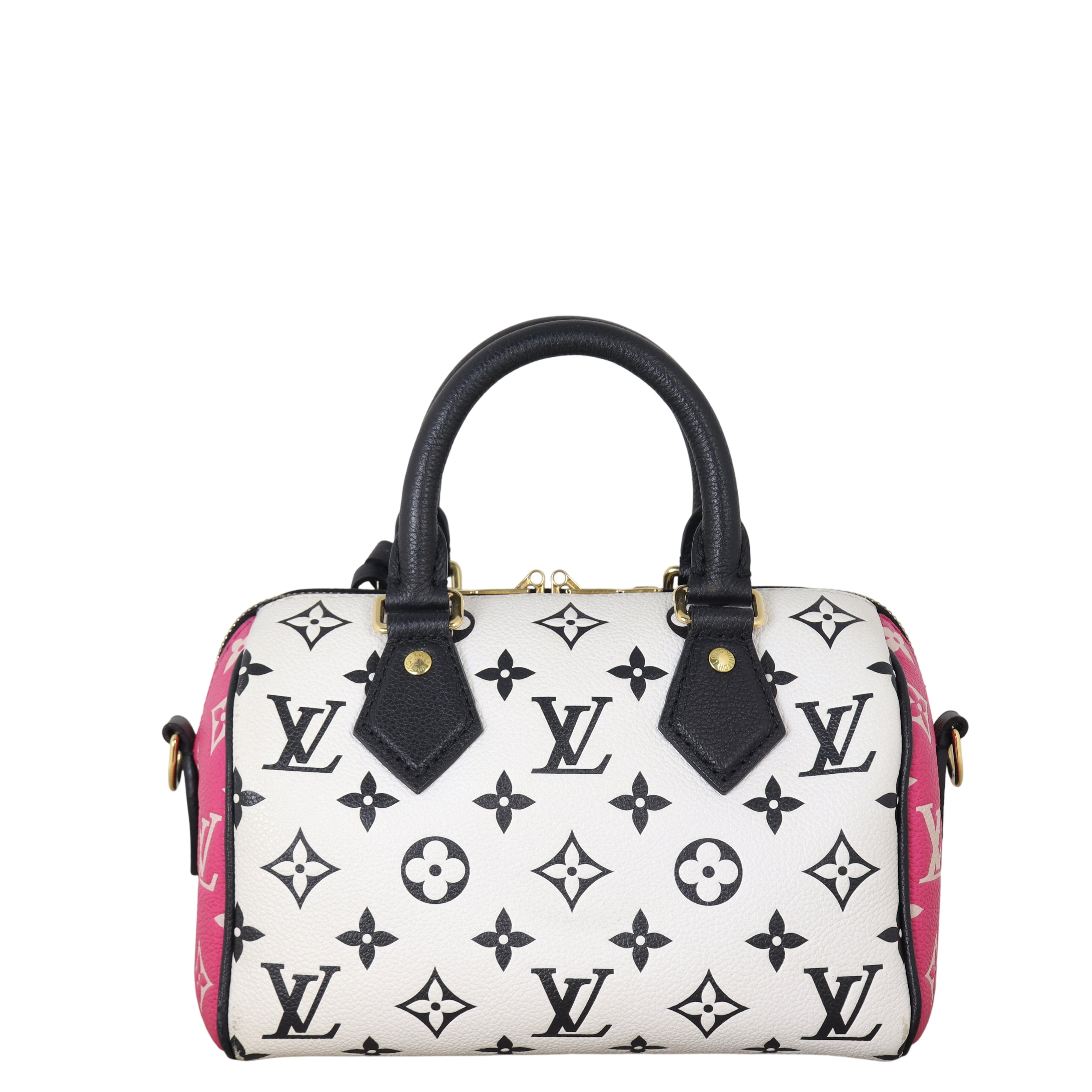 Louis Vuitton Speedy 20 Bandouliere Monogram Spring in the City