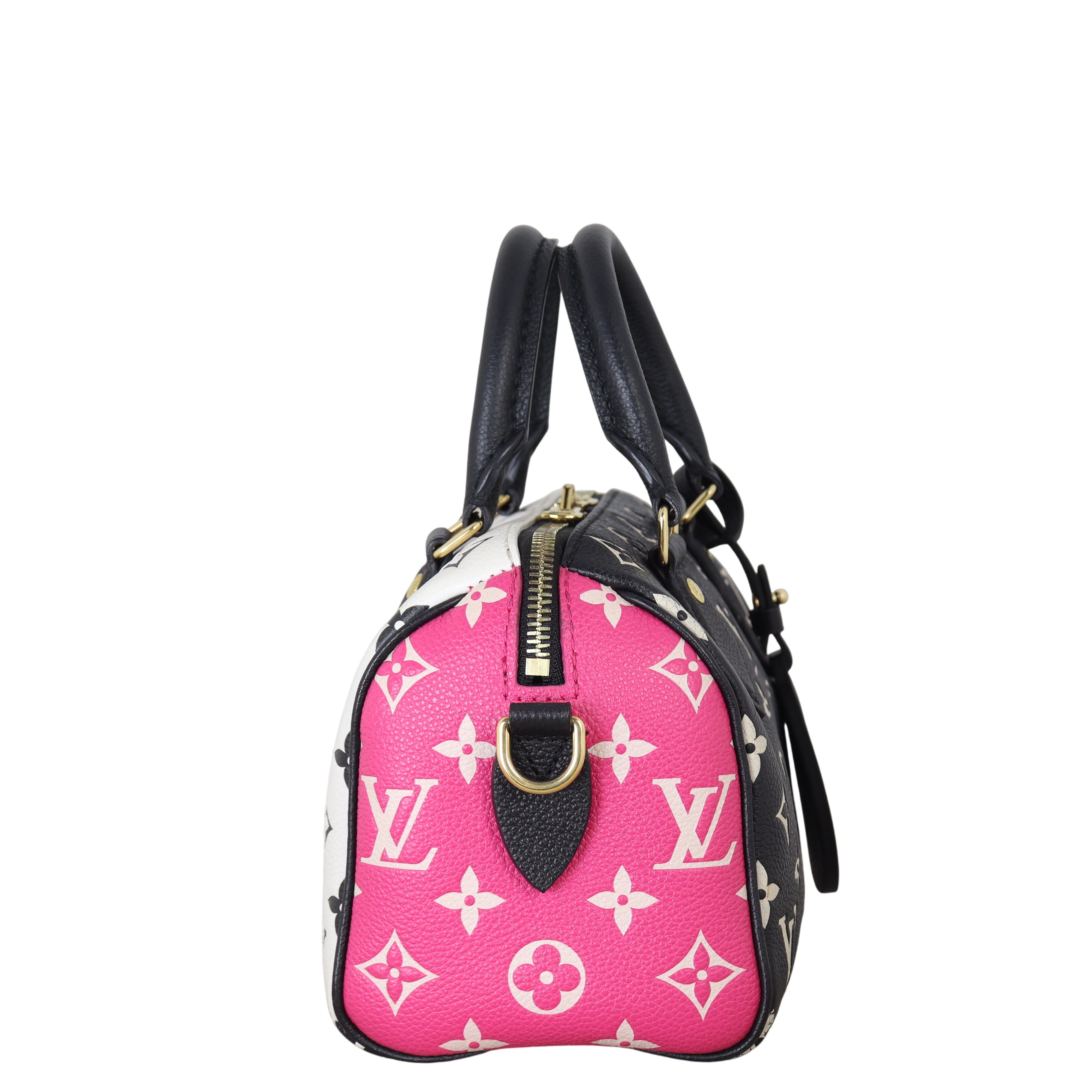 Louis Vuitton Speedy 20 Bandouliere Monogram Spring in the City