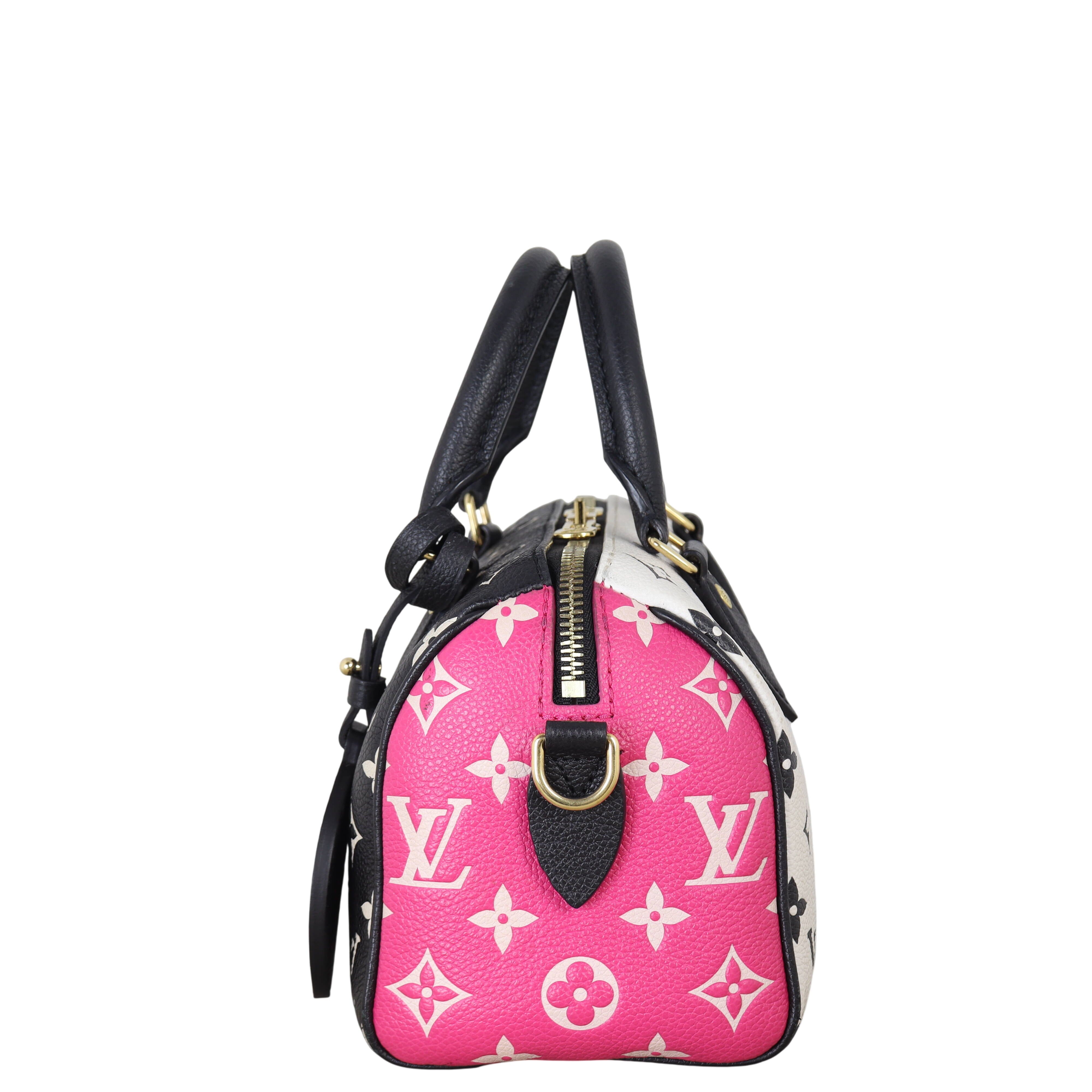Louis Vuitton Speedy 20 Bandouliere Monogram Spring in the City