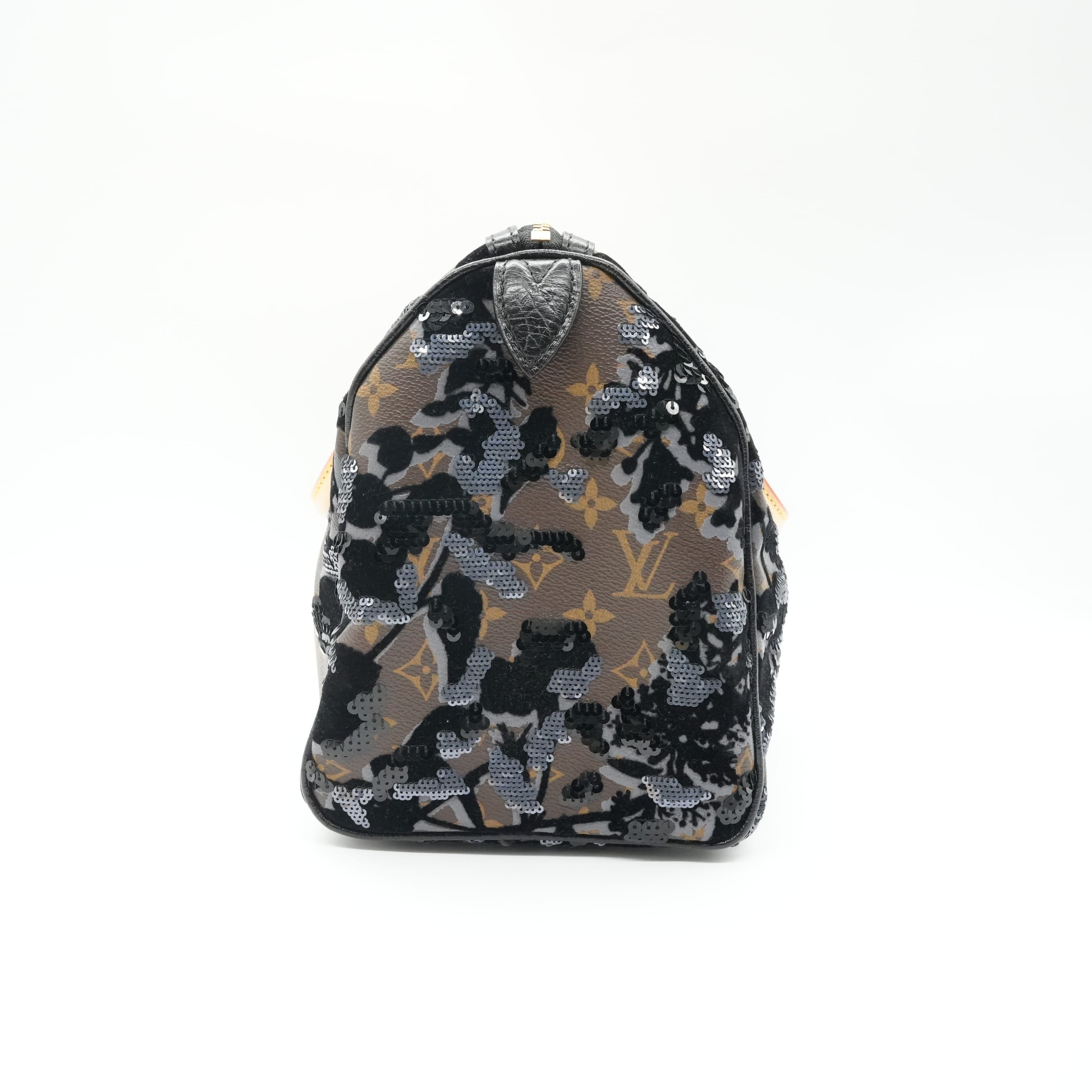 Louis Vuitton Speedy 30 Limited Edition