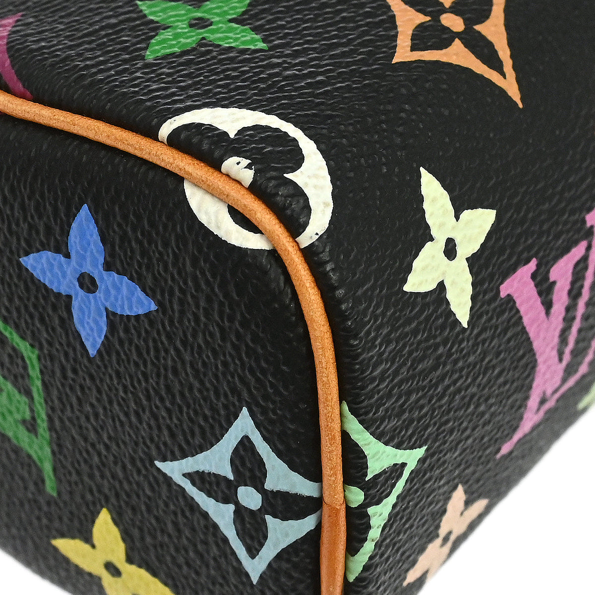 Louis Vuitton Multicolor Mini Speedy Handbag M92644