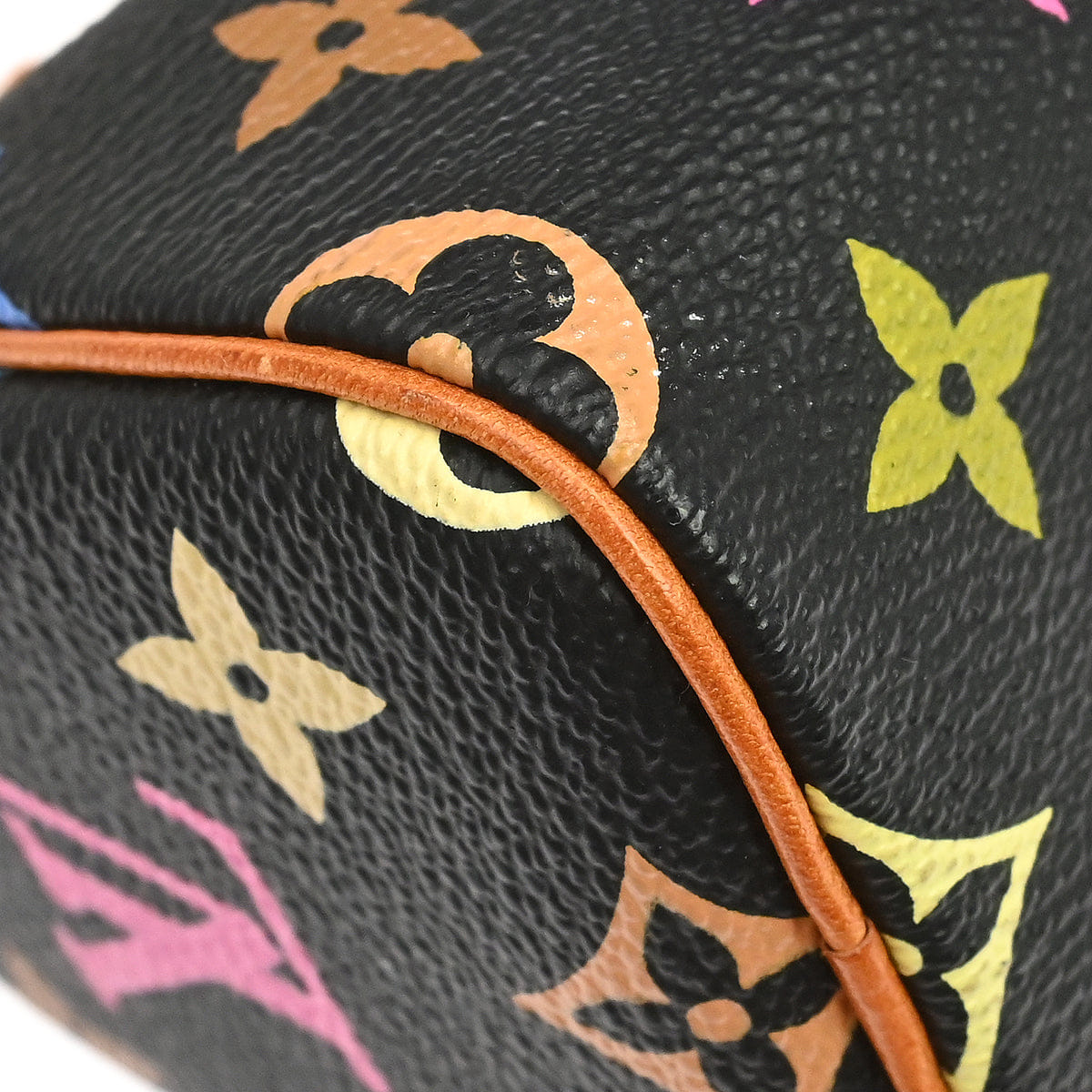 Louis Vuitton Multicolor Mini Speedy Handbag M92644
