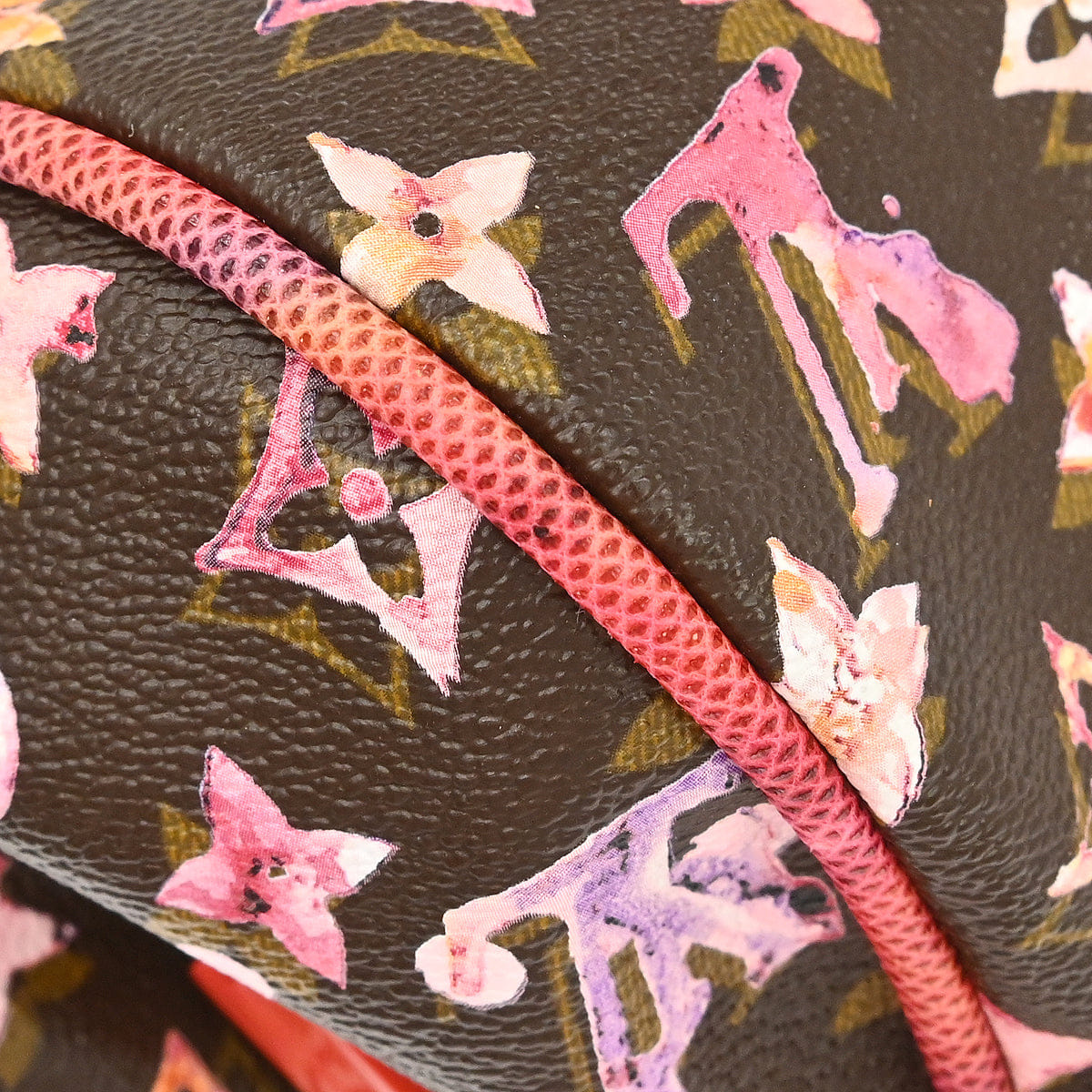 Louis Vuitton * Monogram Watercolor Papillon Handbag M95730