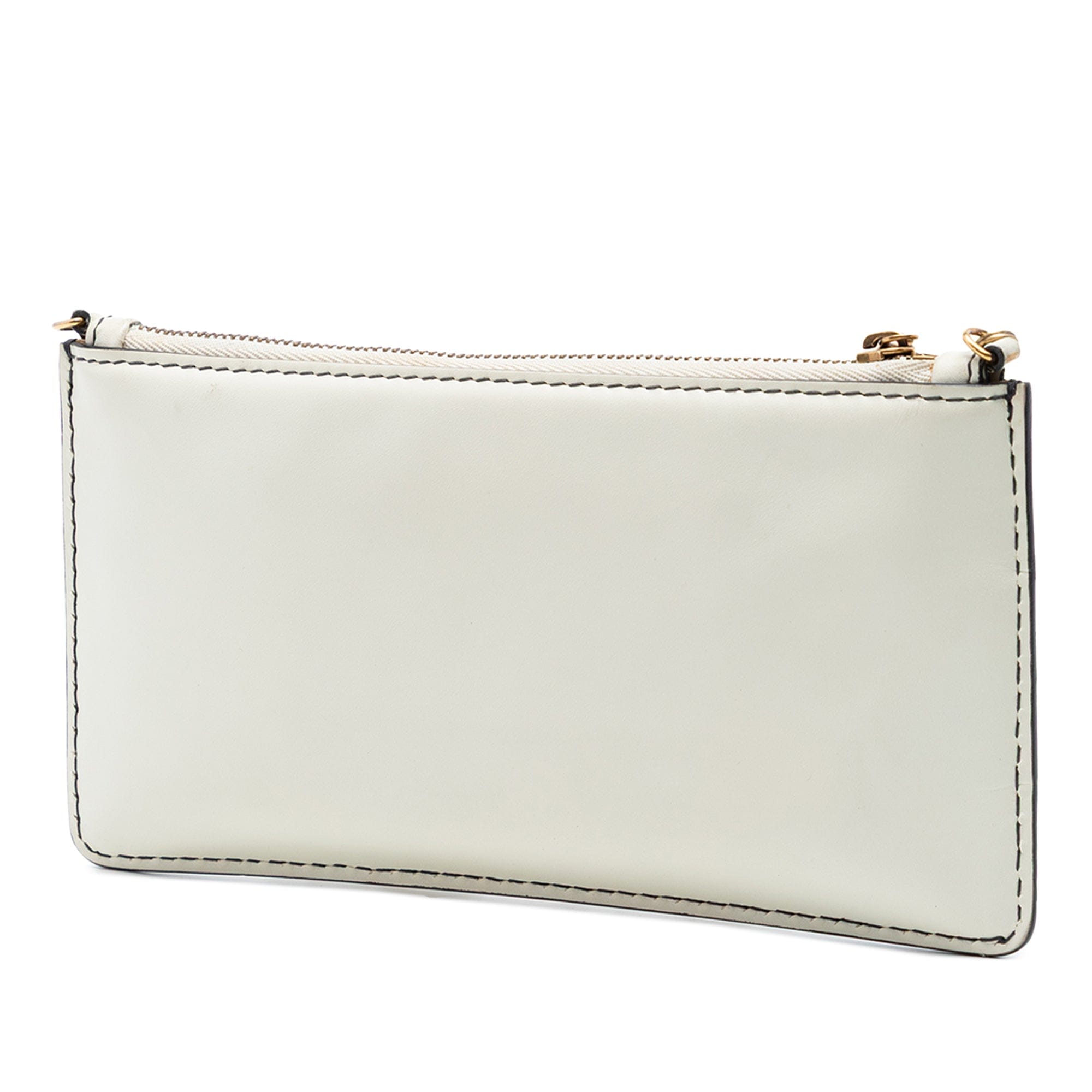 Dior Calfskin JAdior Croisiere Chain Pouch