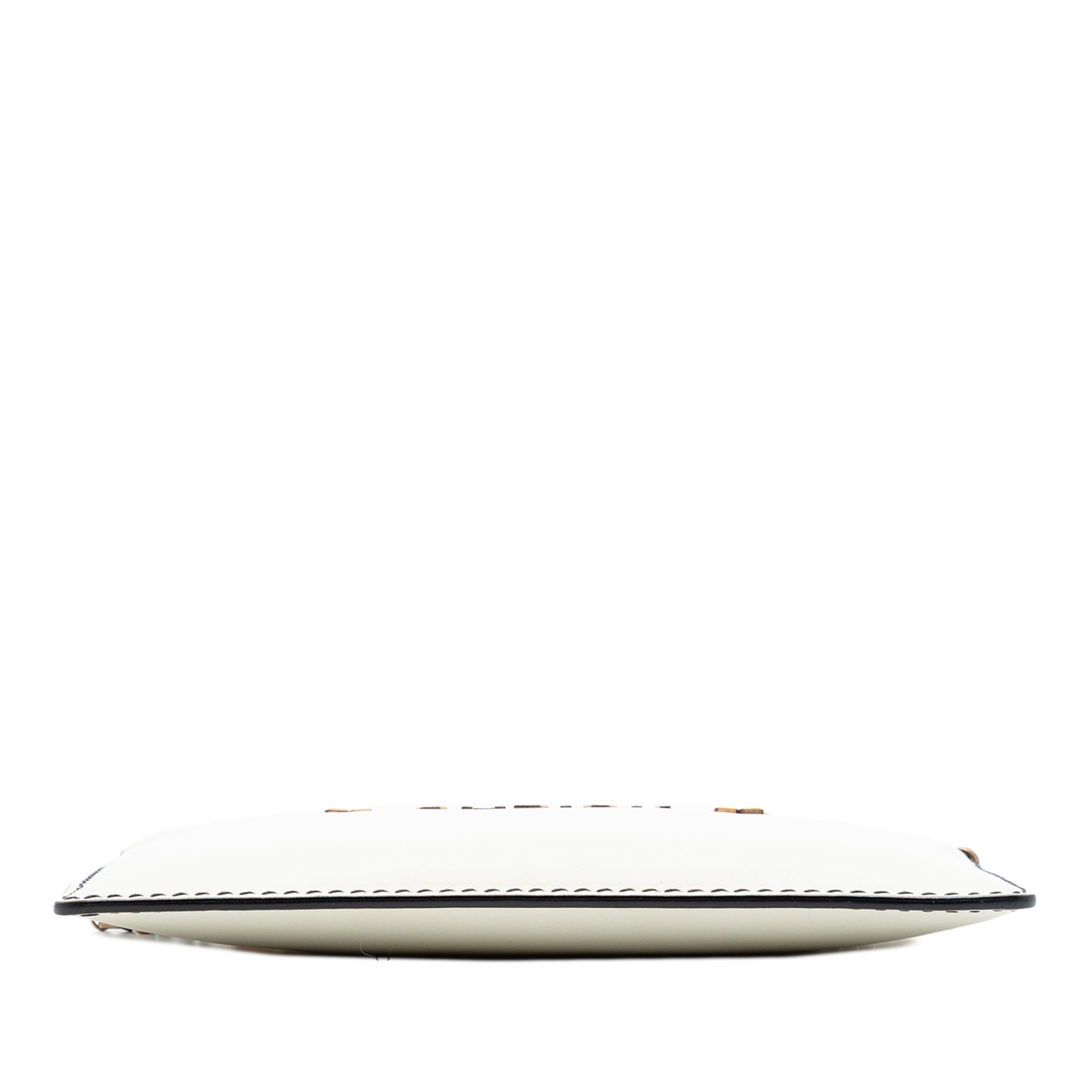 Dior Calfskin JAdior Croisiere Chain Pouch