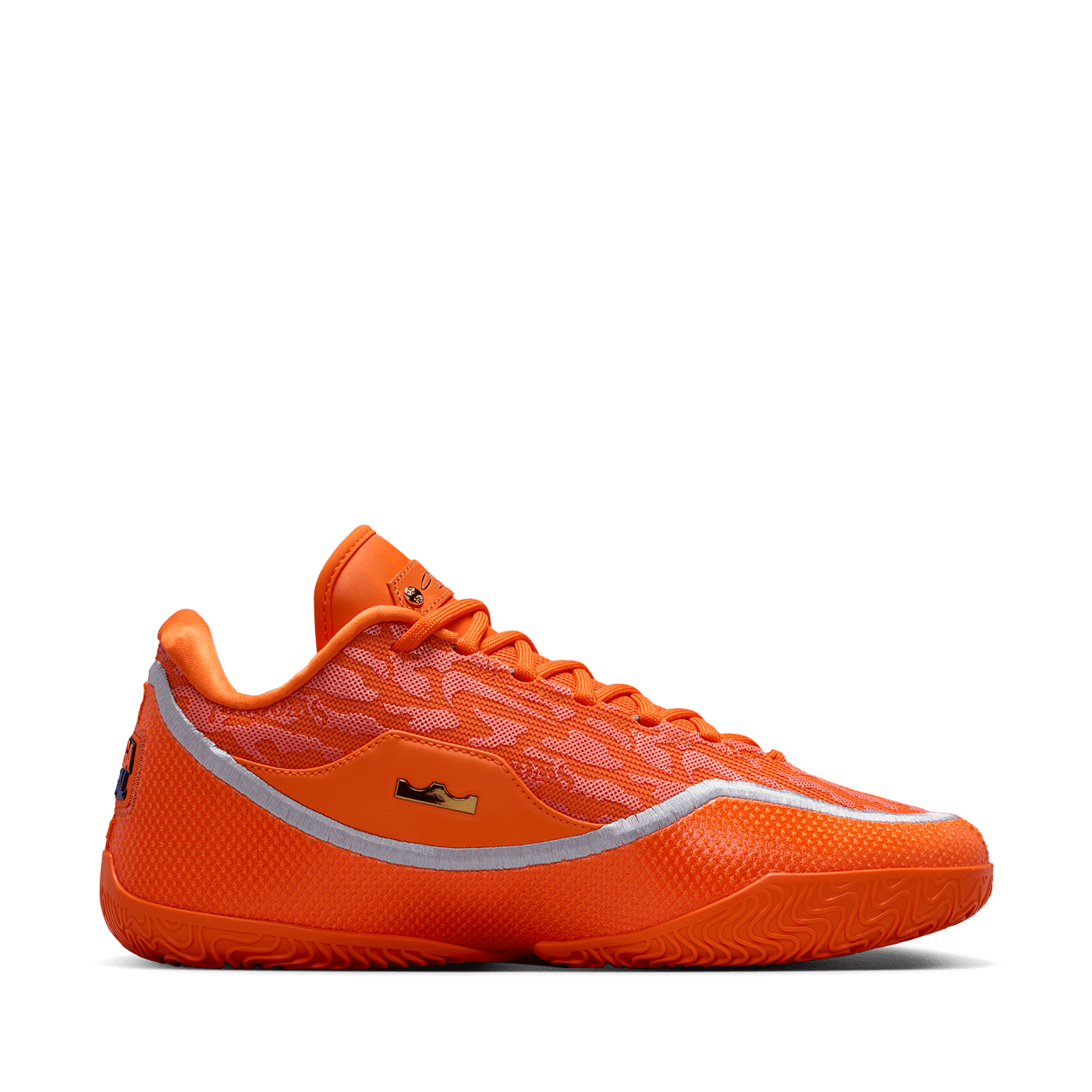 Nike LeBron XXIII EP Shoe Bag
