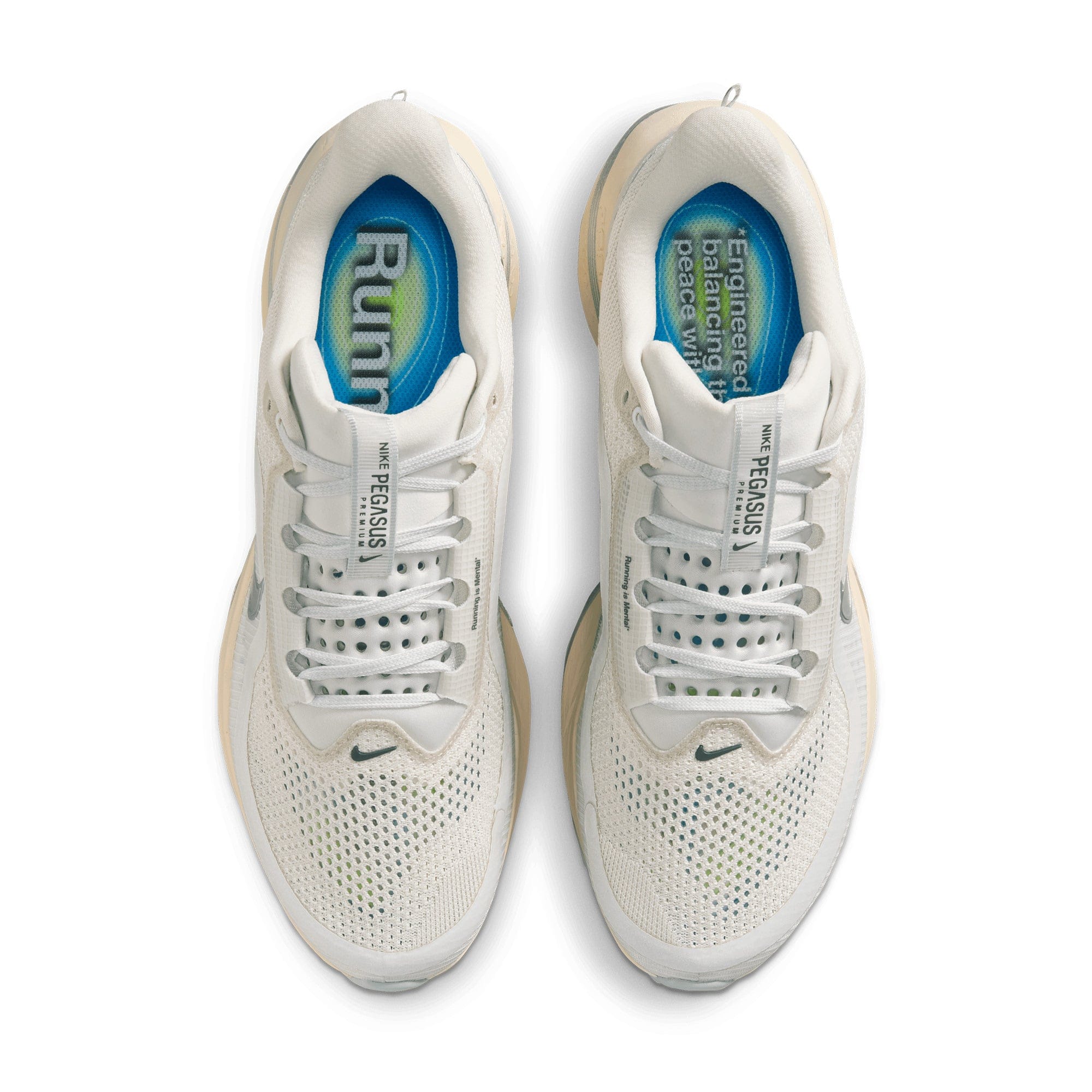 Nike Pegasus Premium Platinum Tint IQ0307 - 094