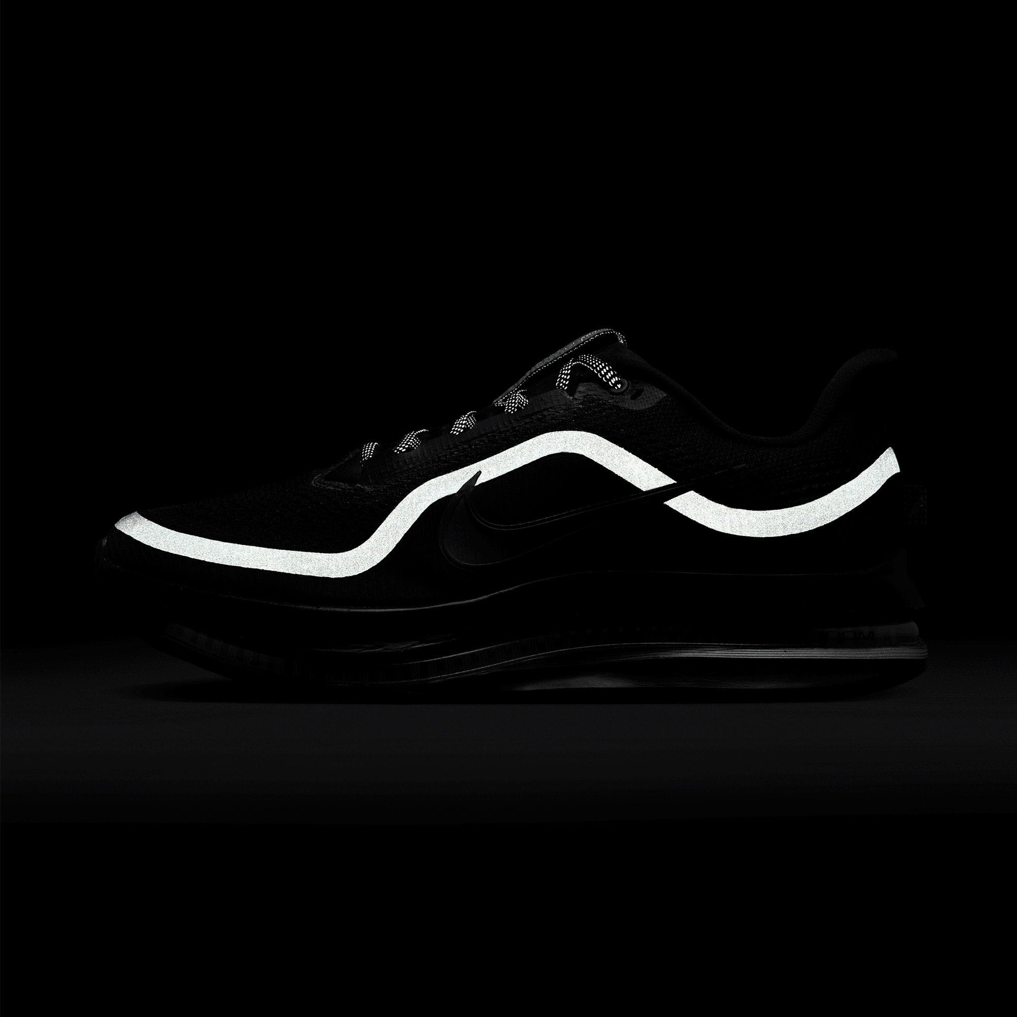 Nike Pegasus Premium Black/Black HQ2592 - 005