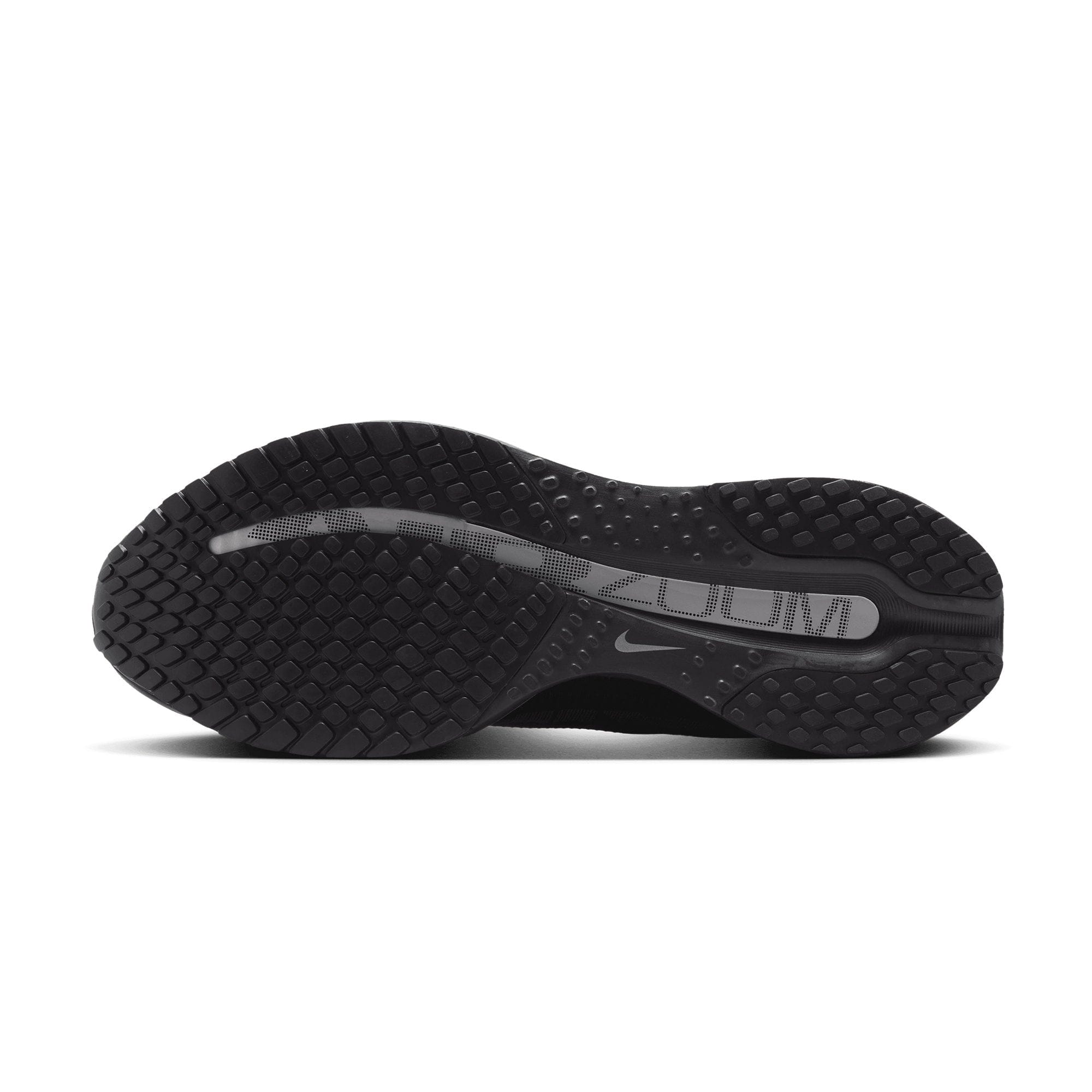 Nike Pegasus Premium Black/Black HQ2592 - 005
