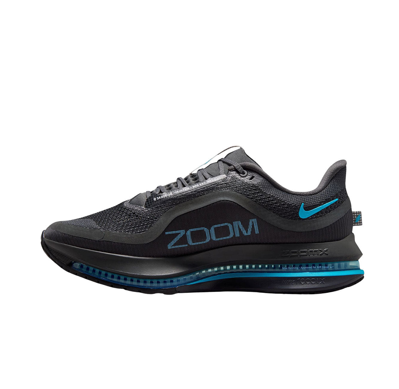 Nike Pegasus Premium (Anthracite/LT Current Blue)