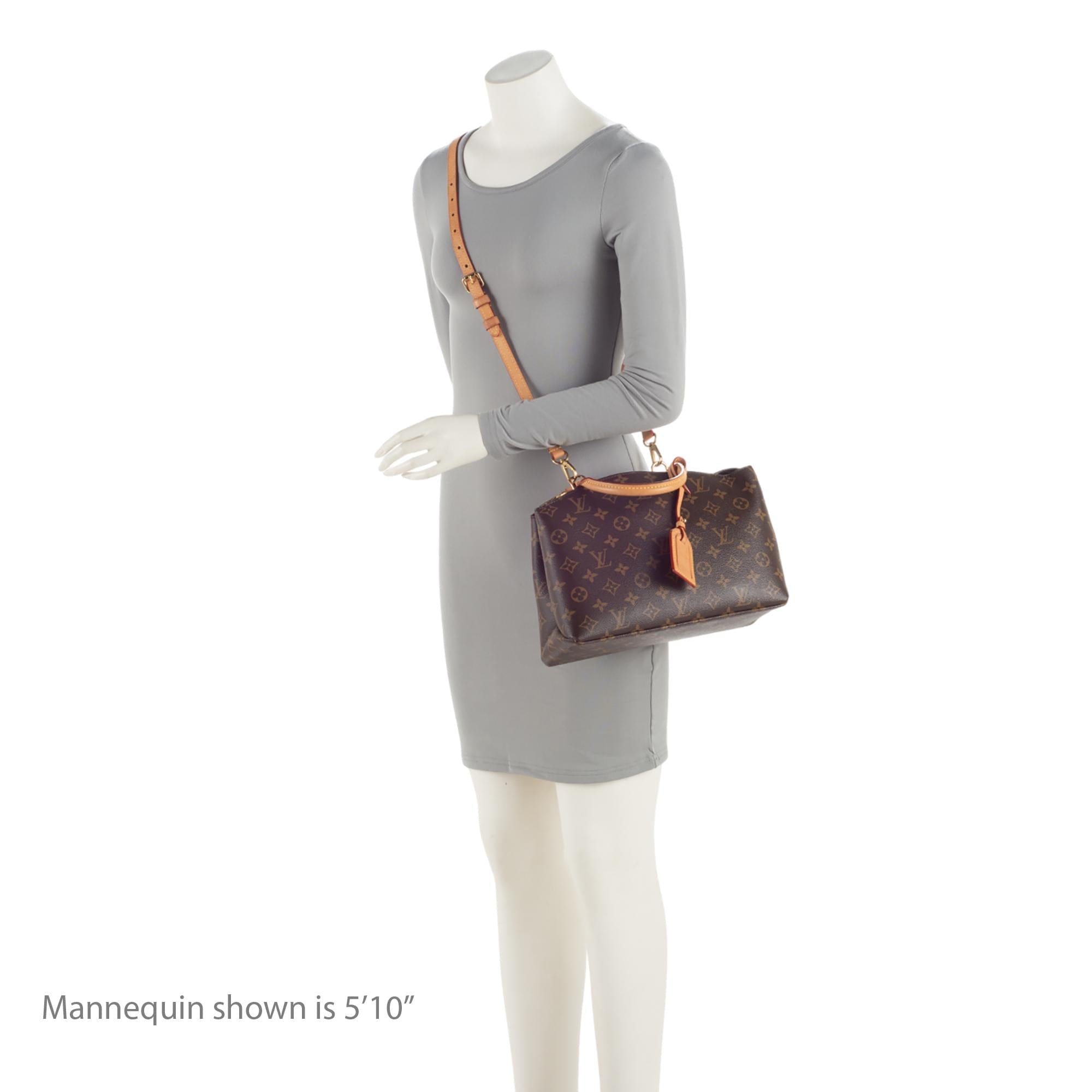 Louis Vuitton Monogram Canvas Petit Palais Tote
