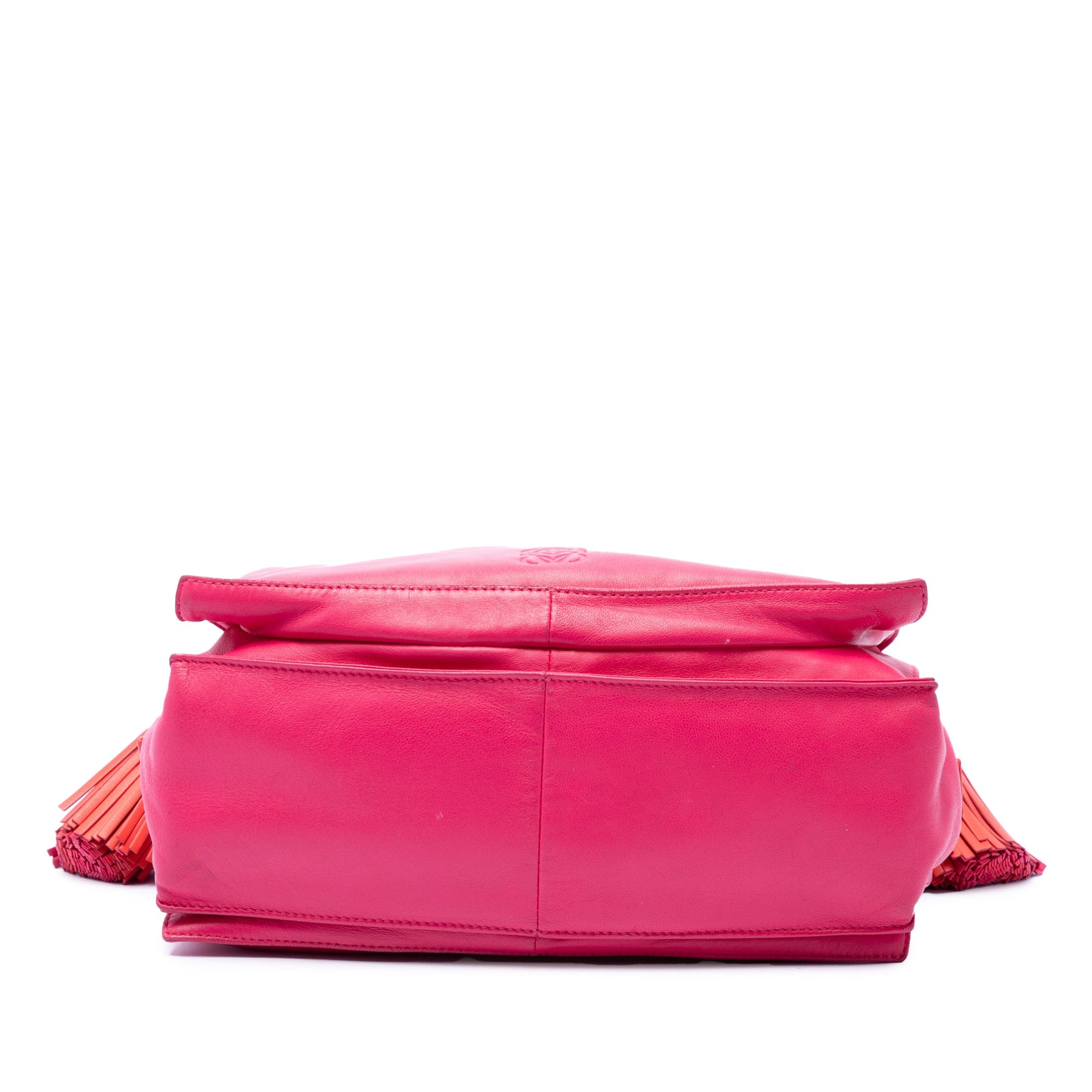 Loewe Bicolor Nappa Flamenco Tassel 30 Crossbody
