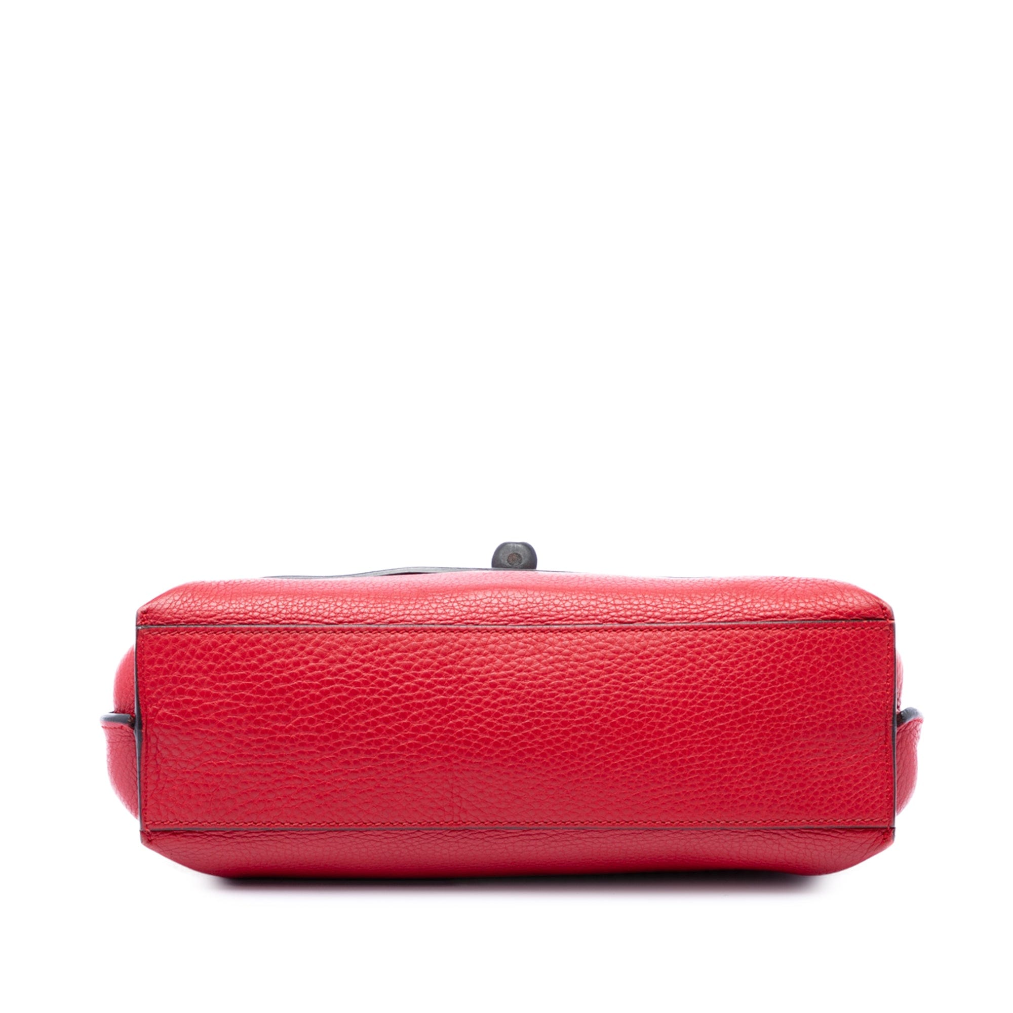 Gucci Small Calfskin Bamboo Daily Satchel