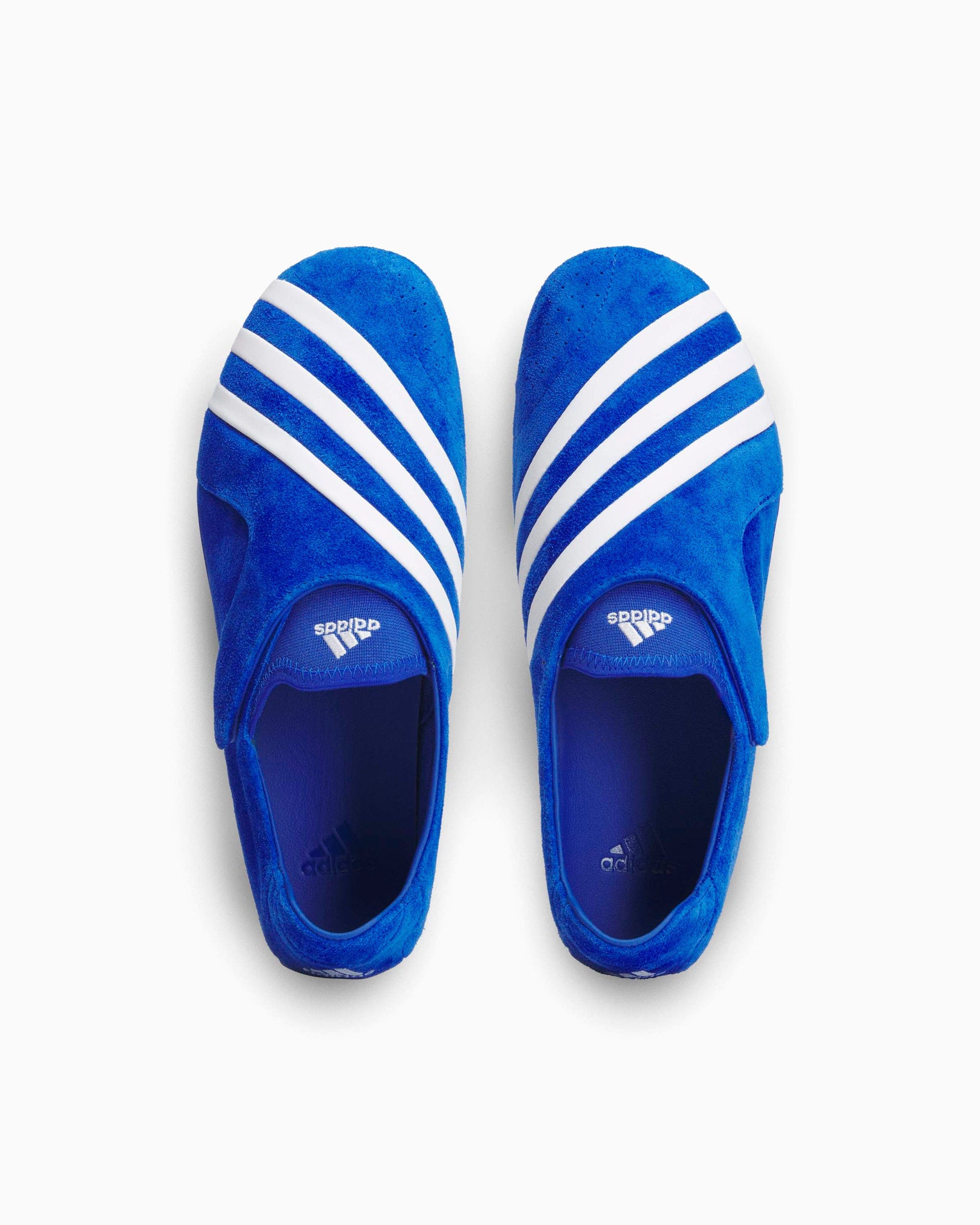 adidas Originals x Pharrell Williams Virginia Vario Flat Earther
