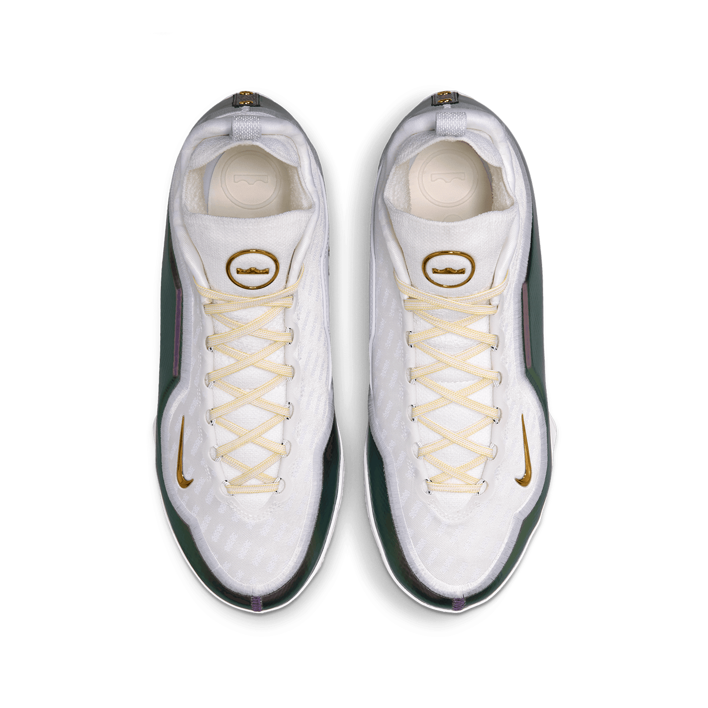 Nike LeBron XXIII Elite EP For The Record