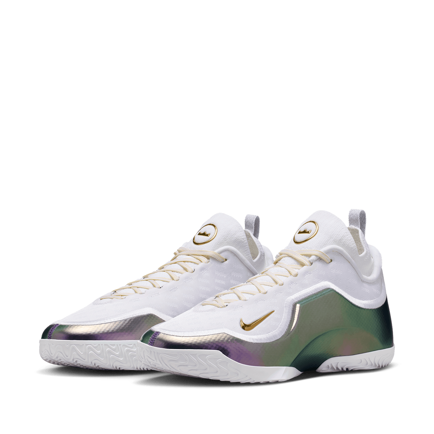 Nike LeBron XXIII Elite EP For The Record