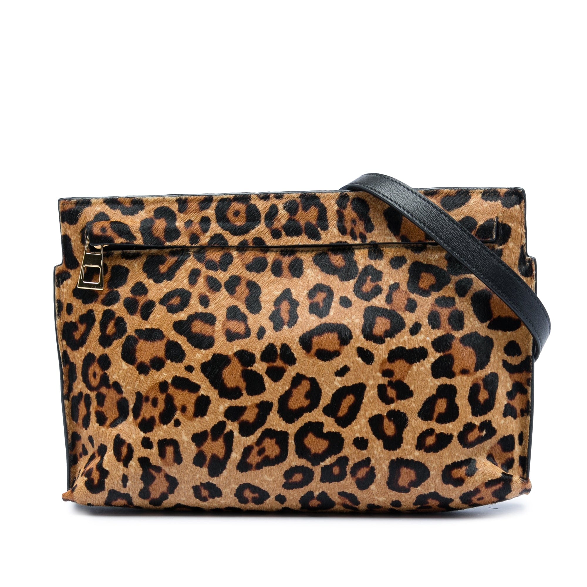 Loewe Pony Hair Leopard Print and Calfskin Crossbody