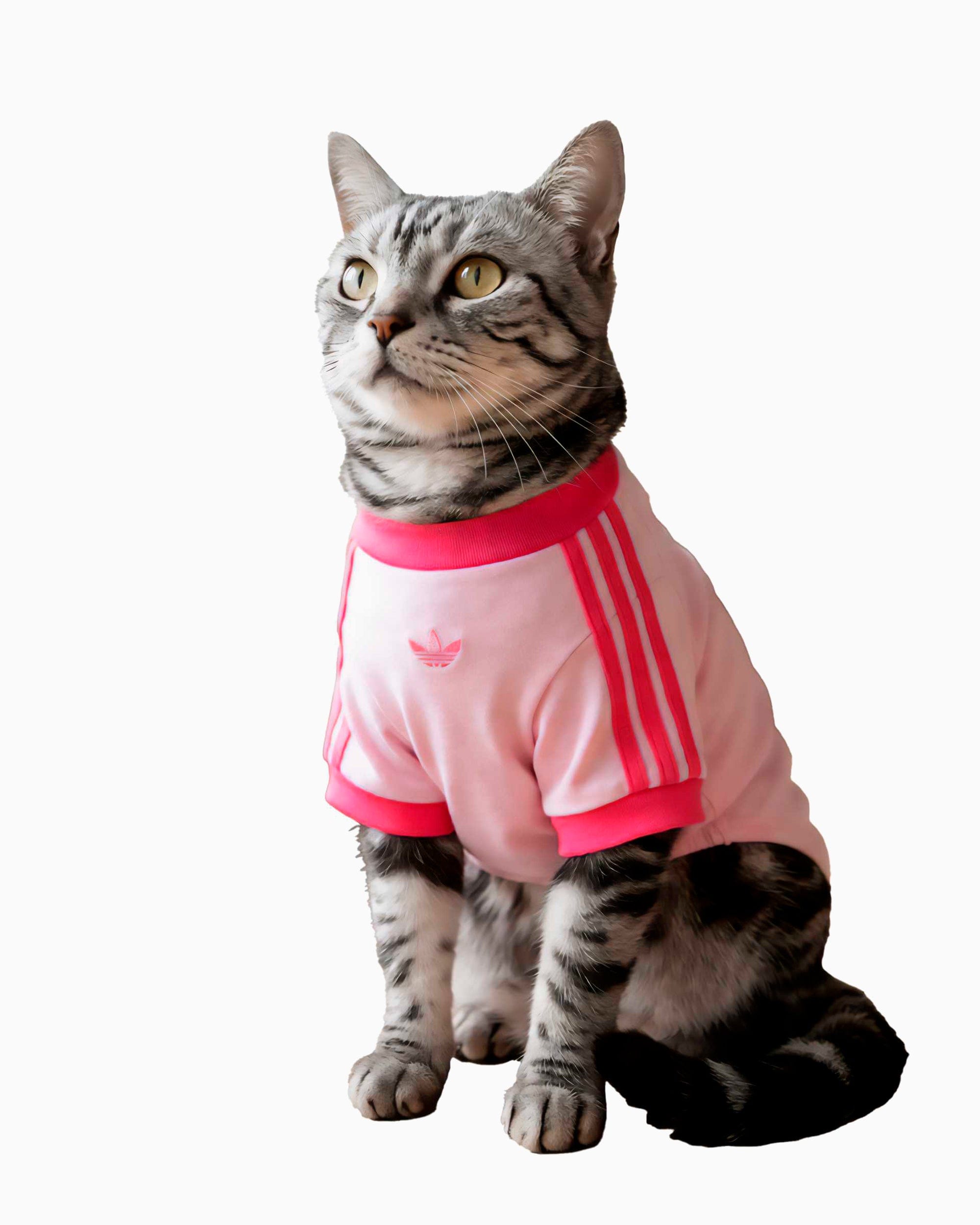 adidas Camiseta para mascotas adidas Originals Cali