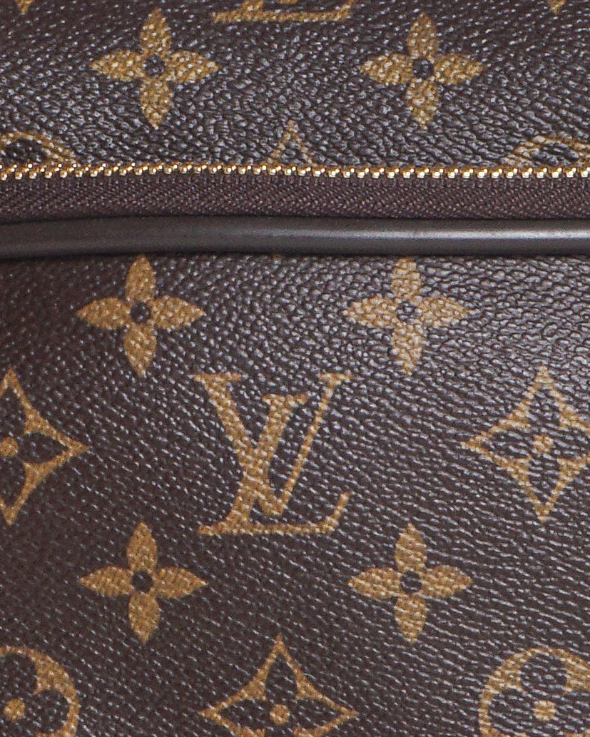 Louis Vuitton Alizé 24 Heures Travel Bag Monogram Canvas & Leather