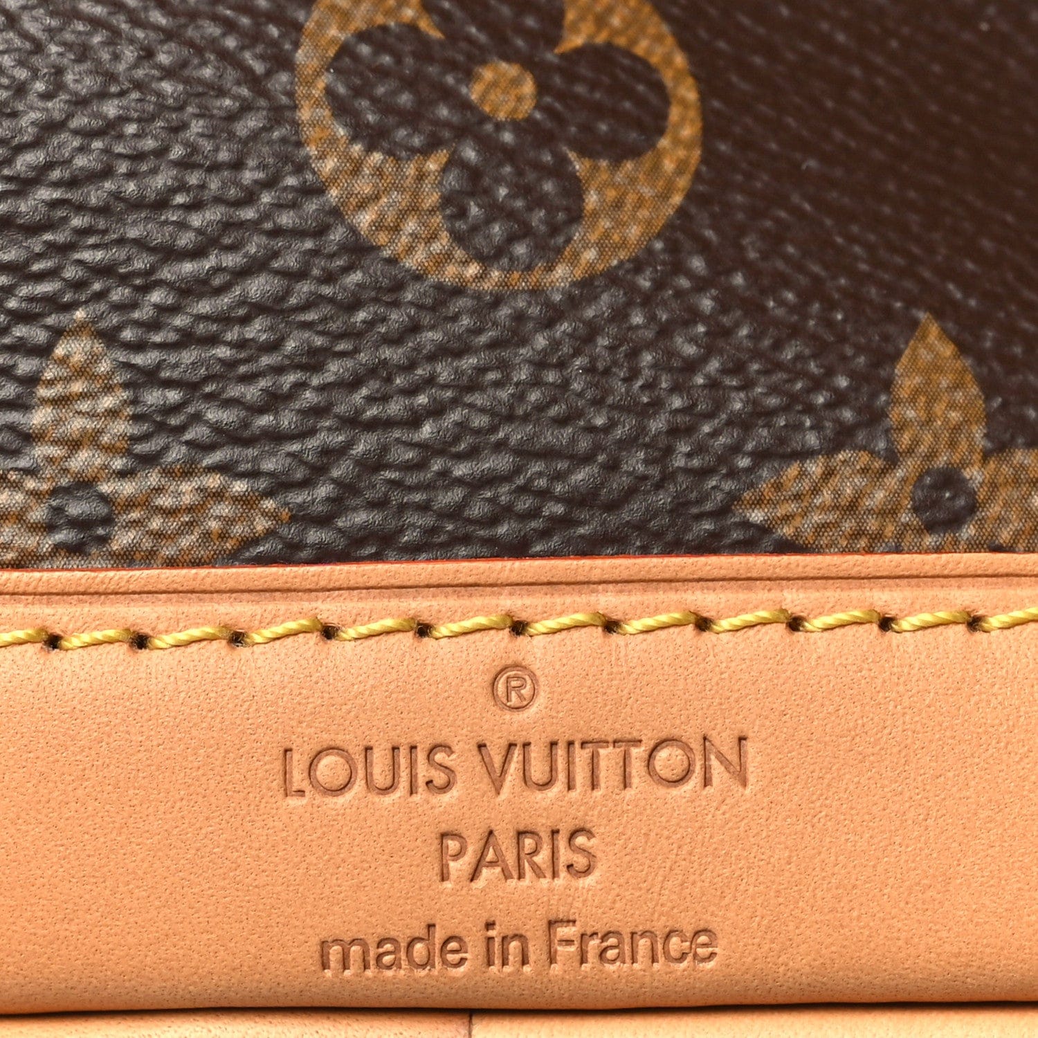 Louis Vuitton Monogram Nano Noe NV
