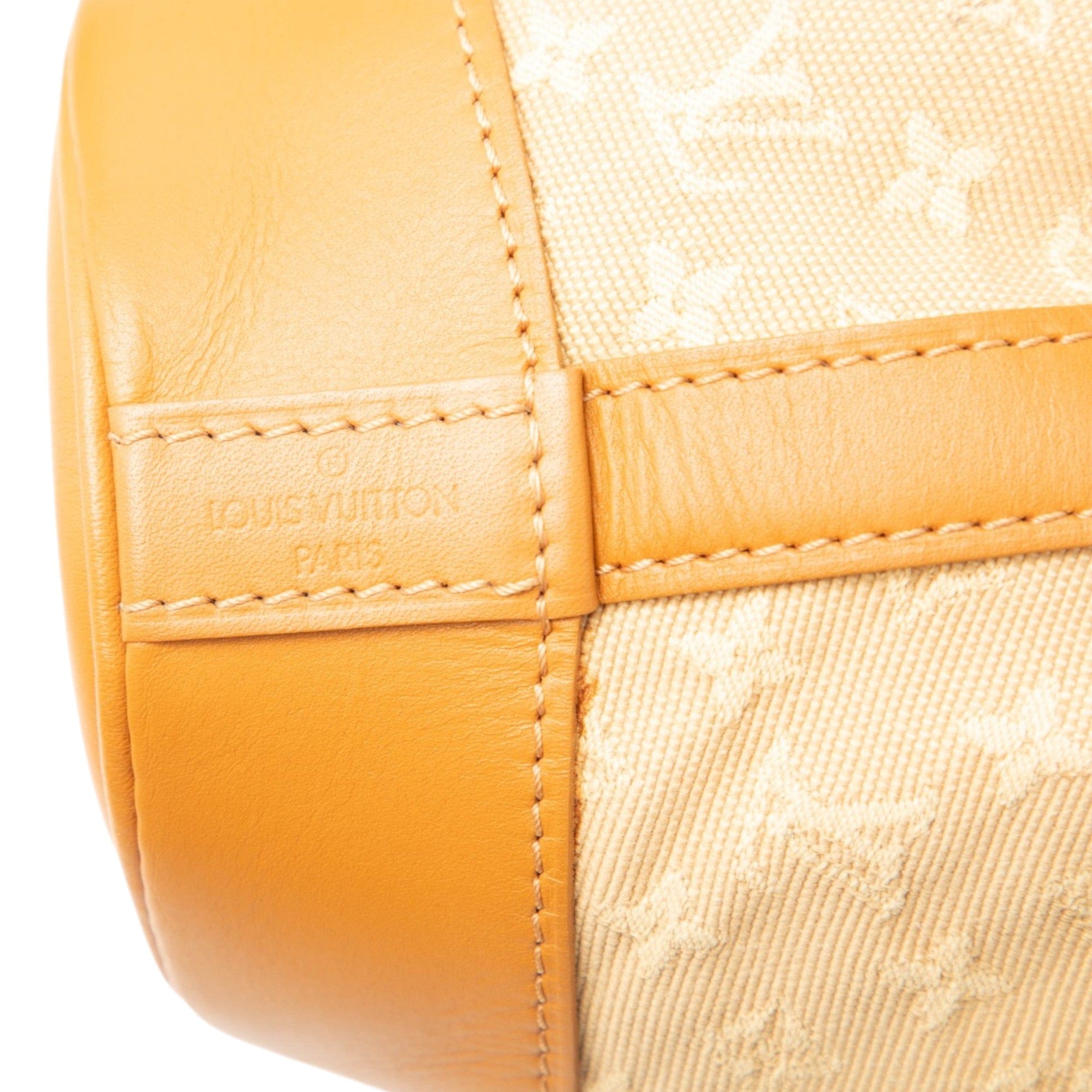 Louis Vuitton Monogram Mini Lin Noelie