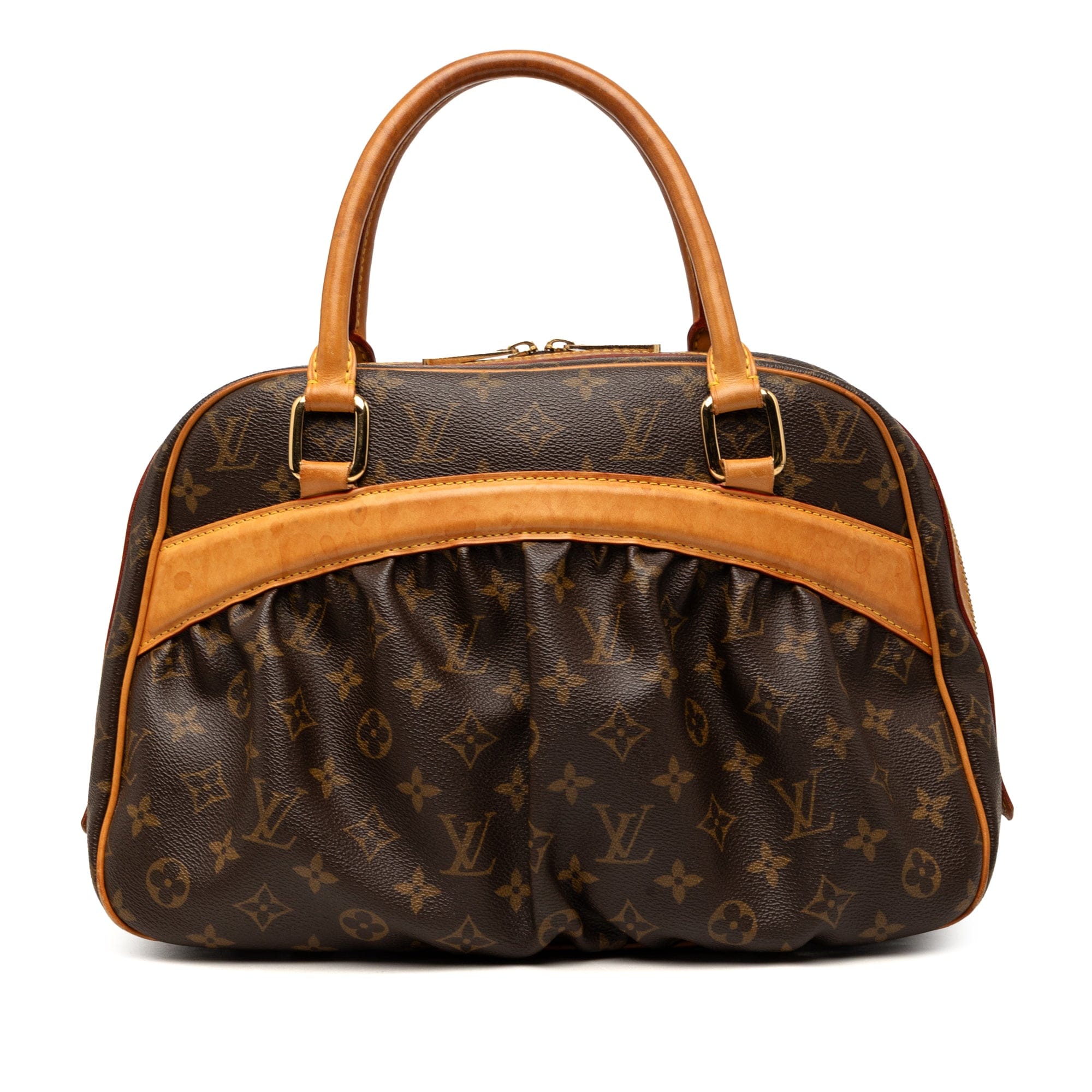 Louis Vuitton Monogram Mizi
