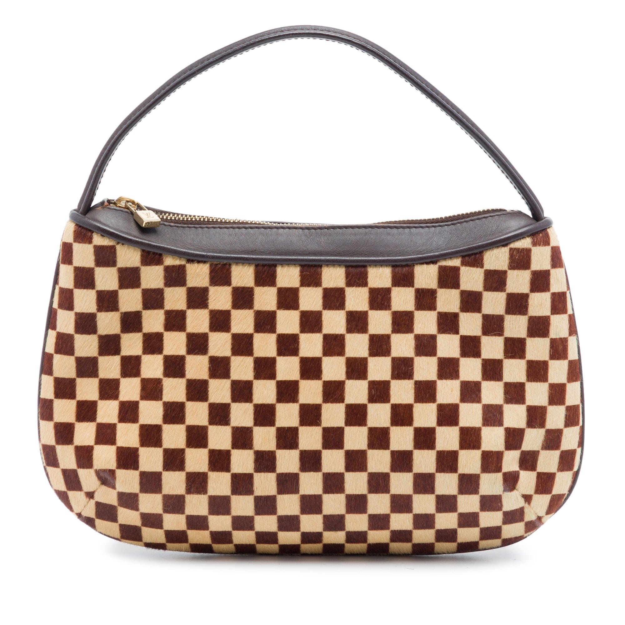 Louis Vuitton Damier Sauvage Tigre