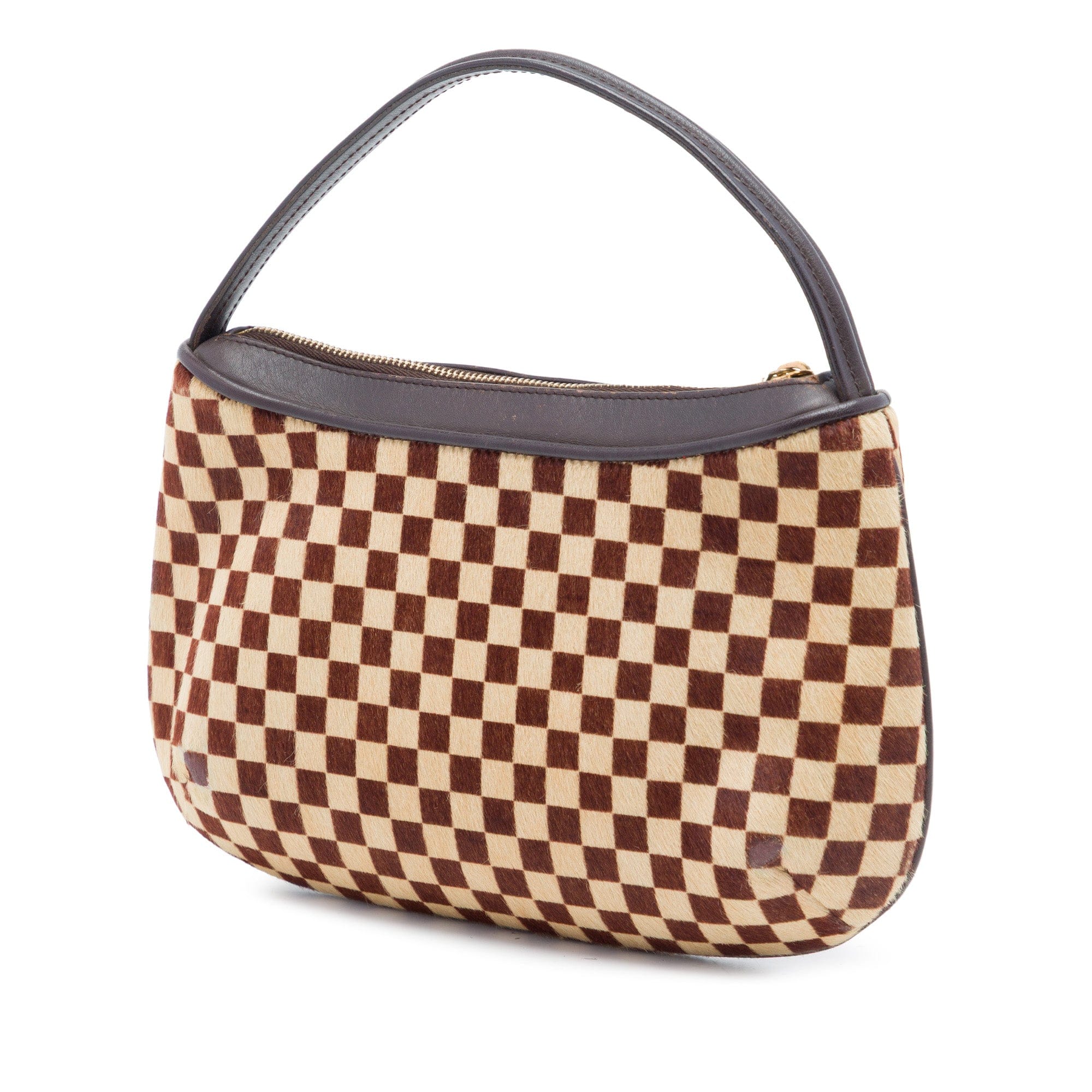 Louis Vuitton Damier Sauvage Tigre