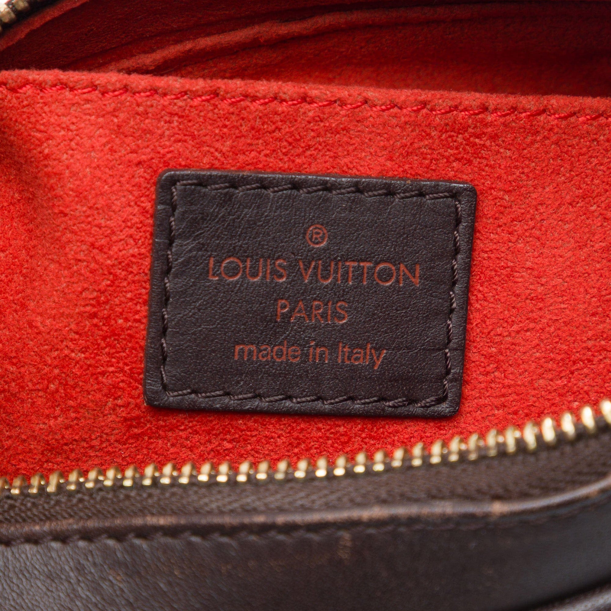 Louis Vuitton Damier Sauvage Tigre