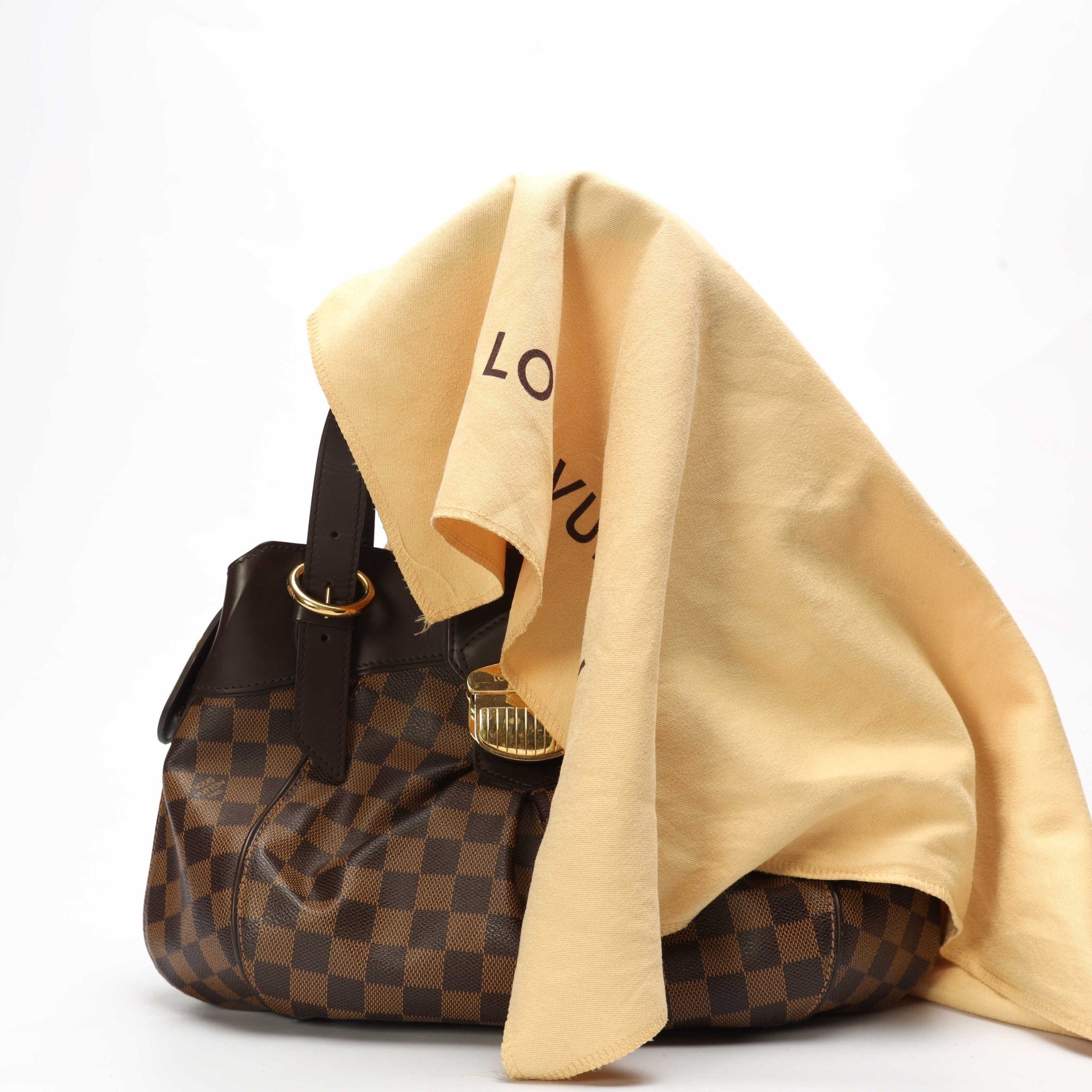 Louis Vuitton Damier Ebene Canvas Sistina Bag