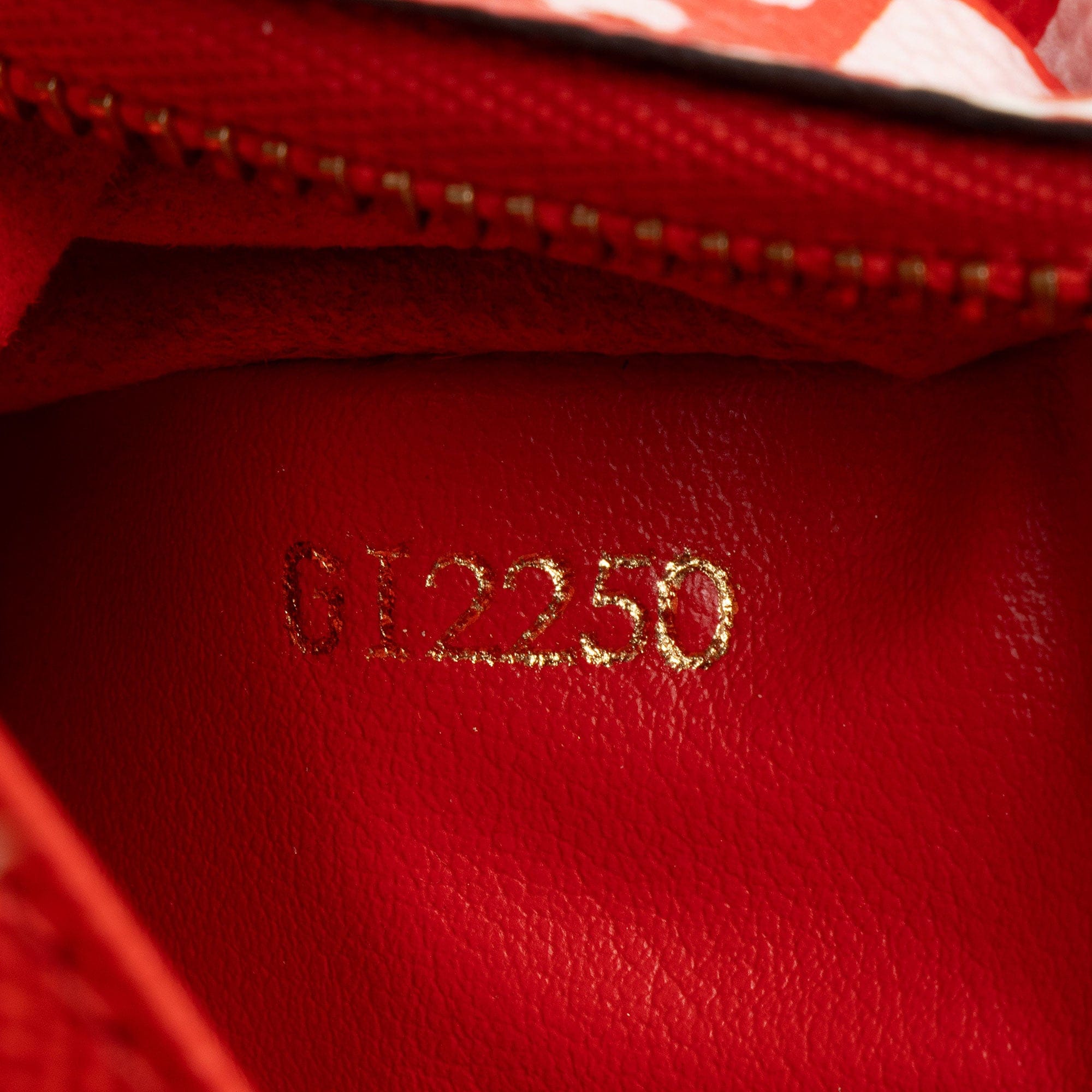 Louis Vuitton Limited Edition Monogram Crafty Double Zip Pochette
