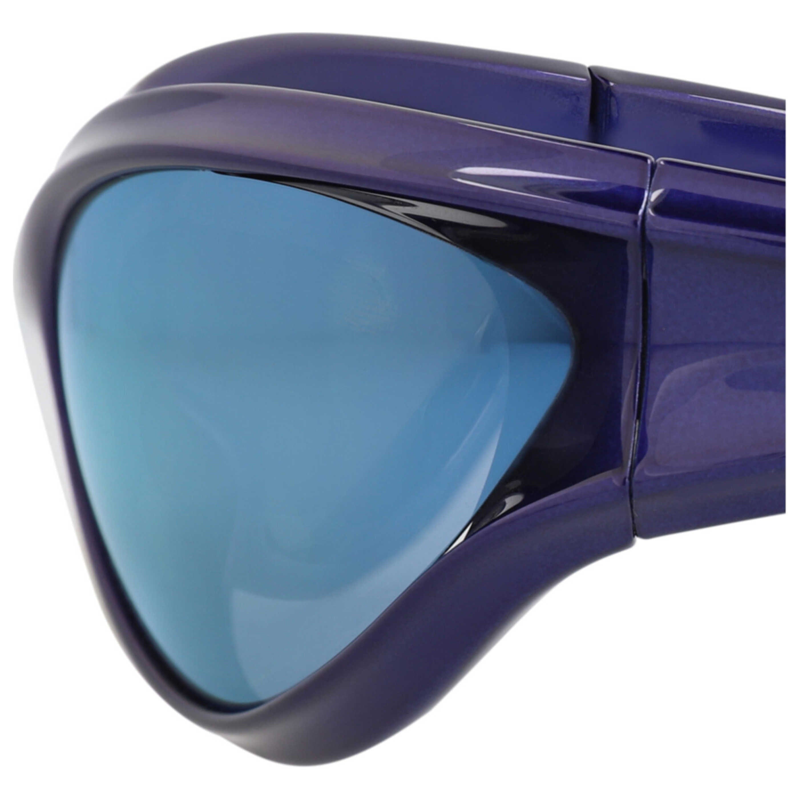 Balenciaga Unisex Sunglasses BB0317S - 30014882 - 004