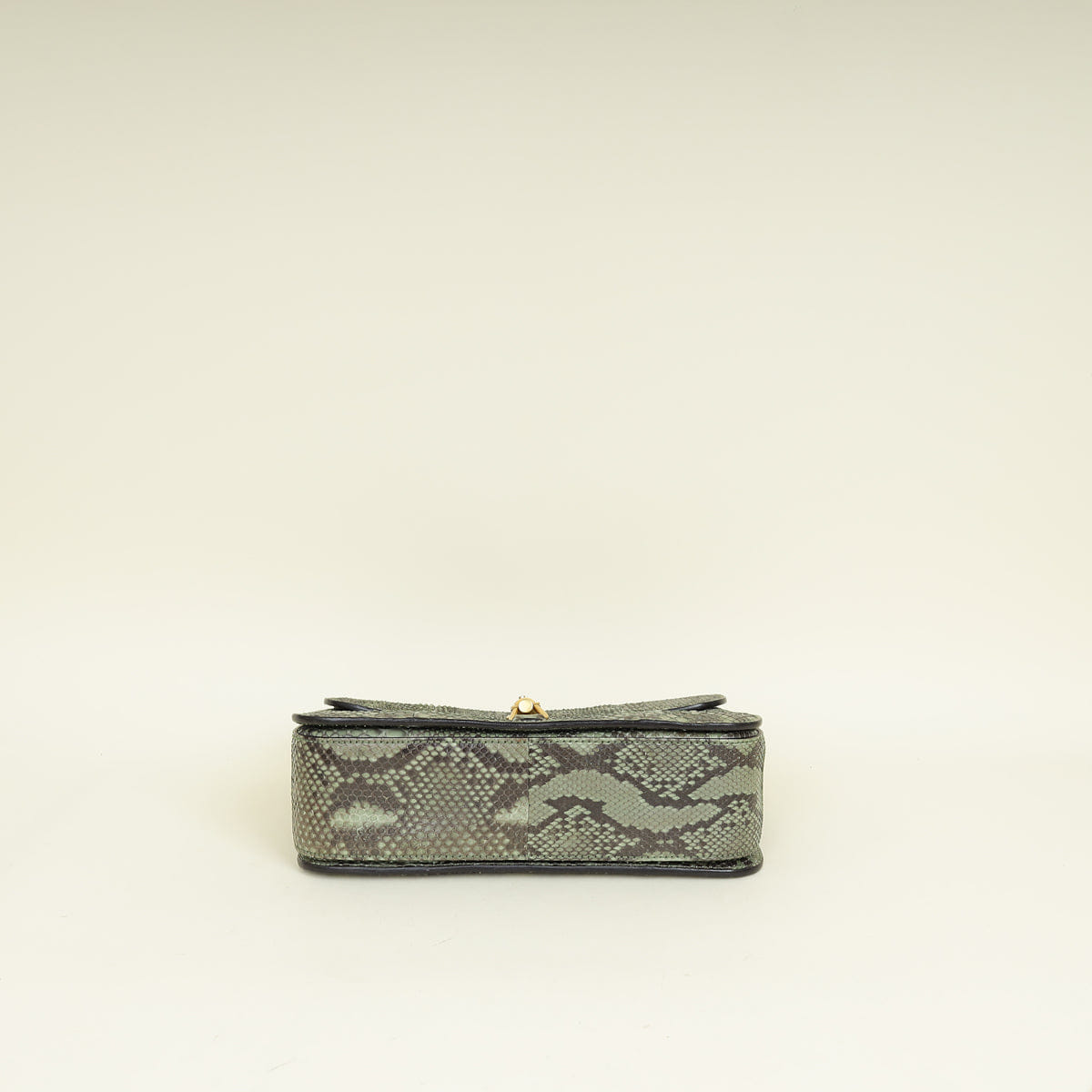 Gucci Bicolor Python Soft Jackie Shoulder Bag