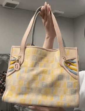Fendi Canvas × Leather Multi × Beige Zucchino Handbag B0708VCMNS